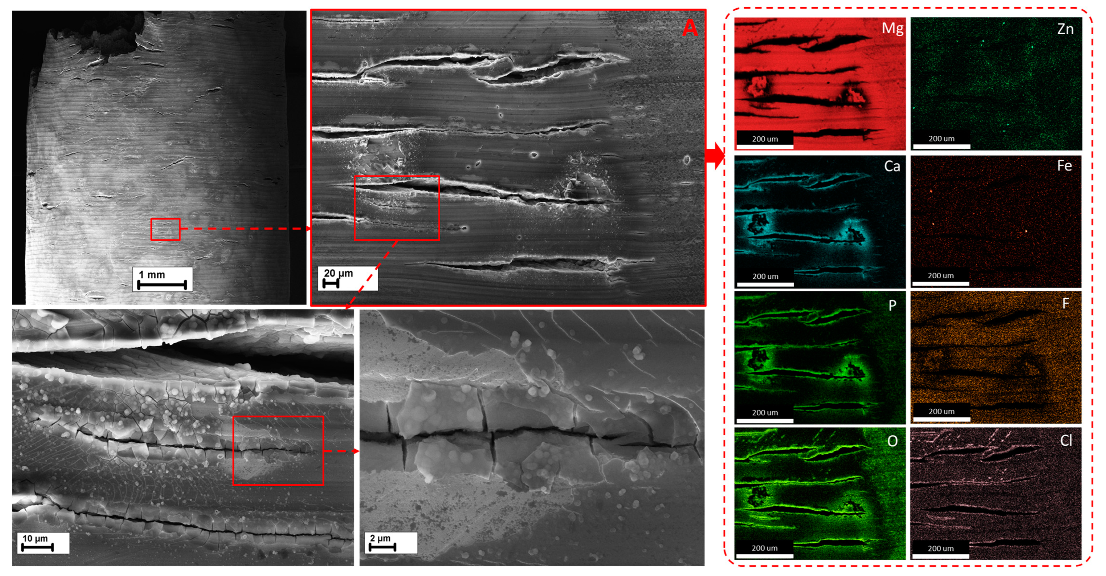Metals 13 01660 g011