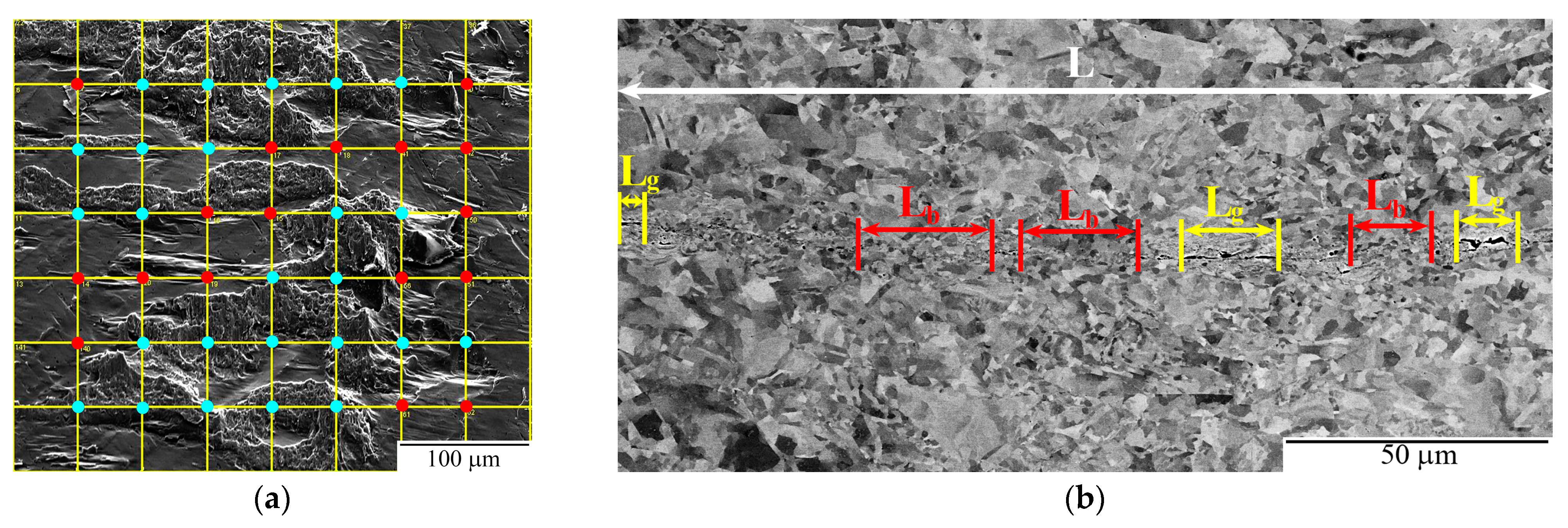 Metals 13 01661 g002