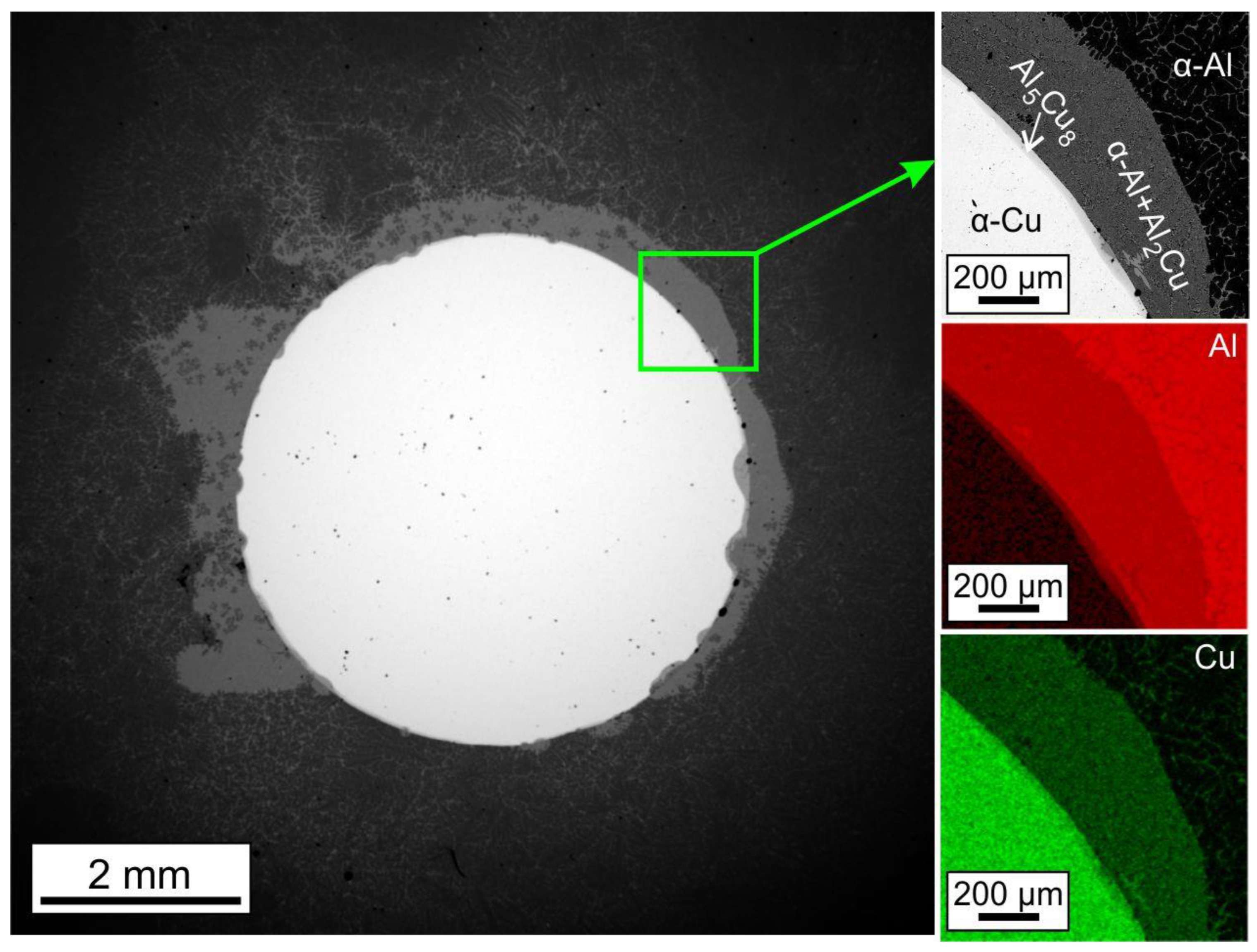 Metals 13 01671 g013