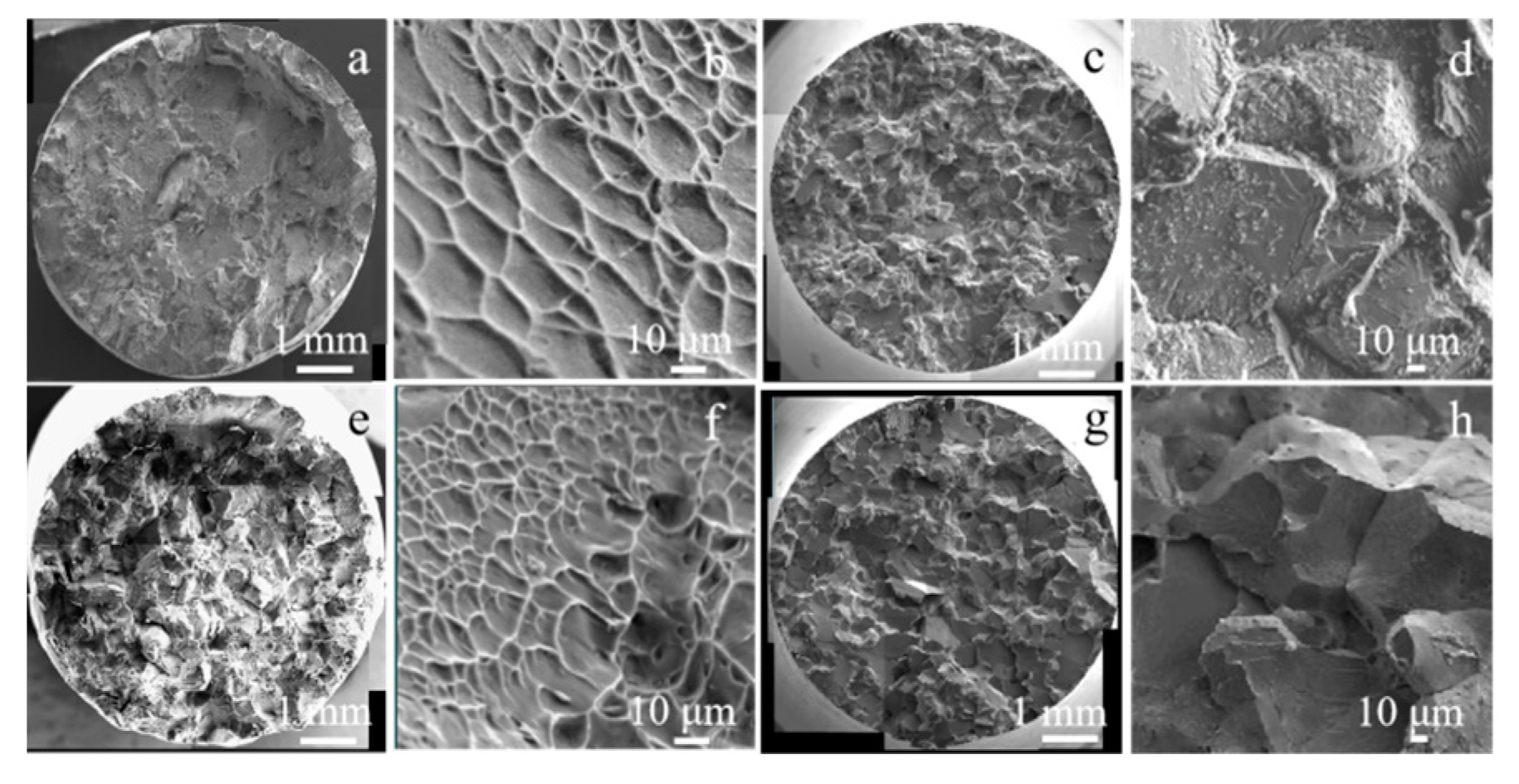 Metals 13 01676 g004