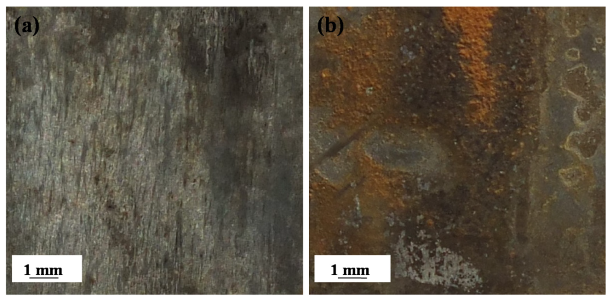 Metals 13 01695 g006