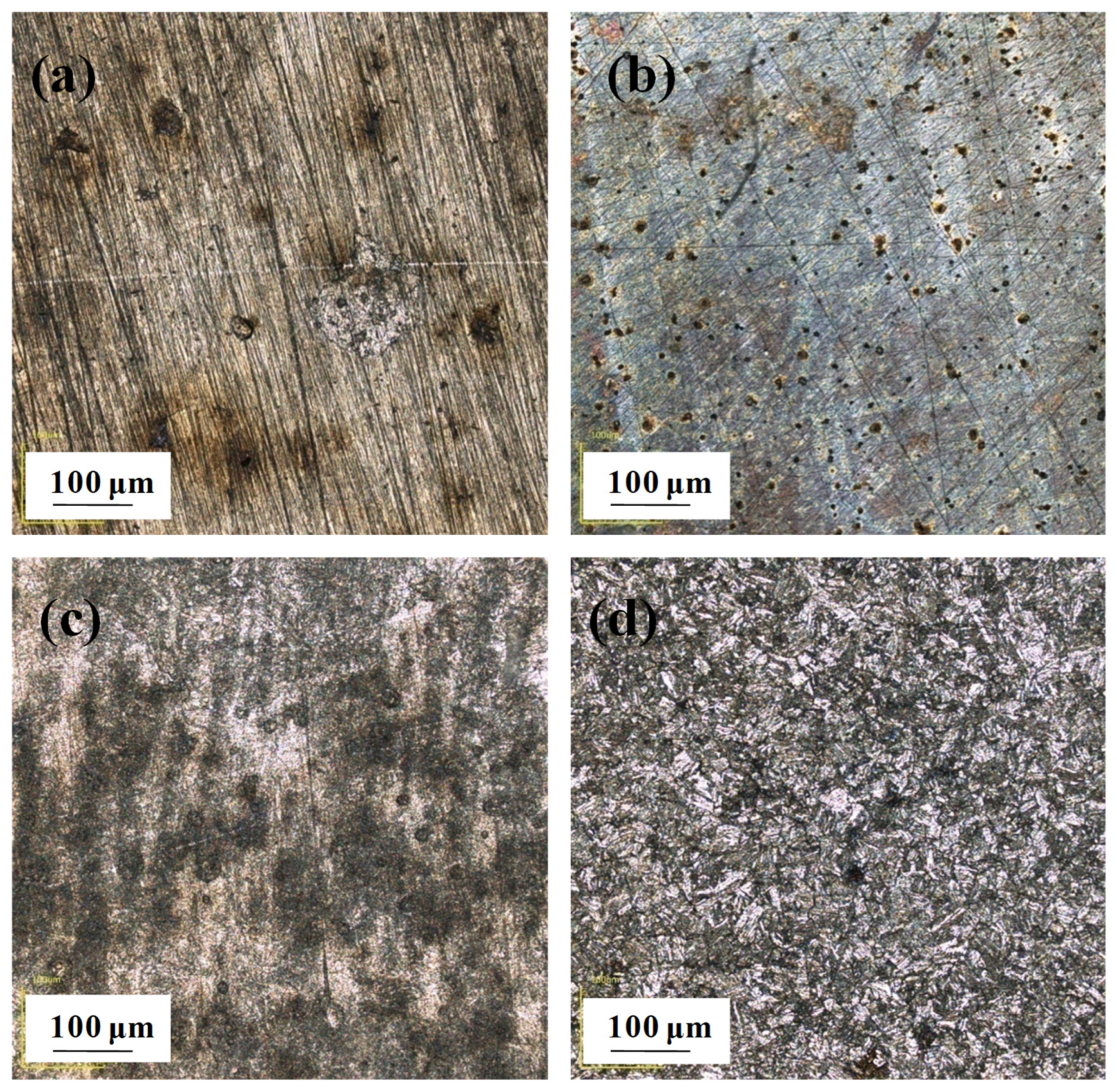 Metals 13 01695 g008