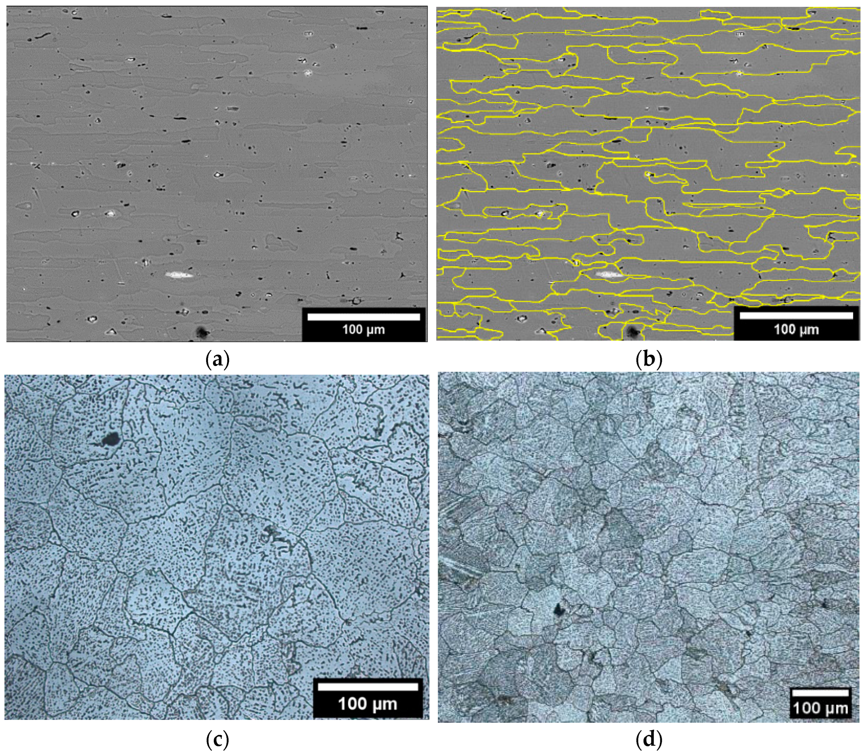 Metals 13 01704 g012