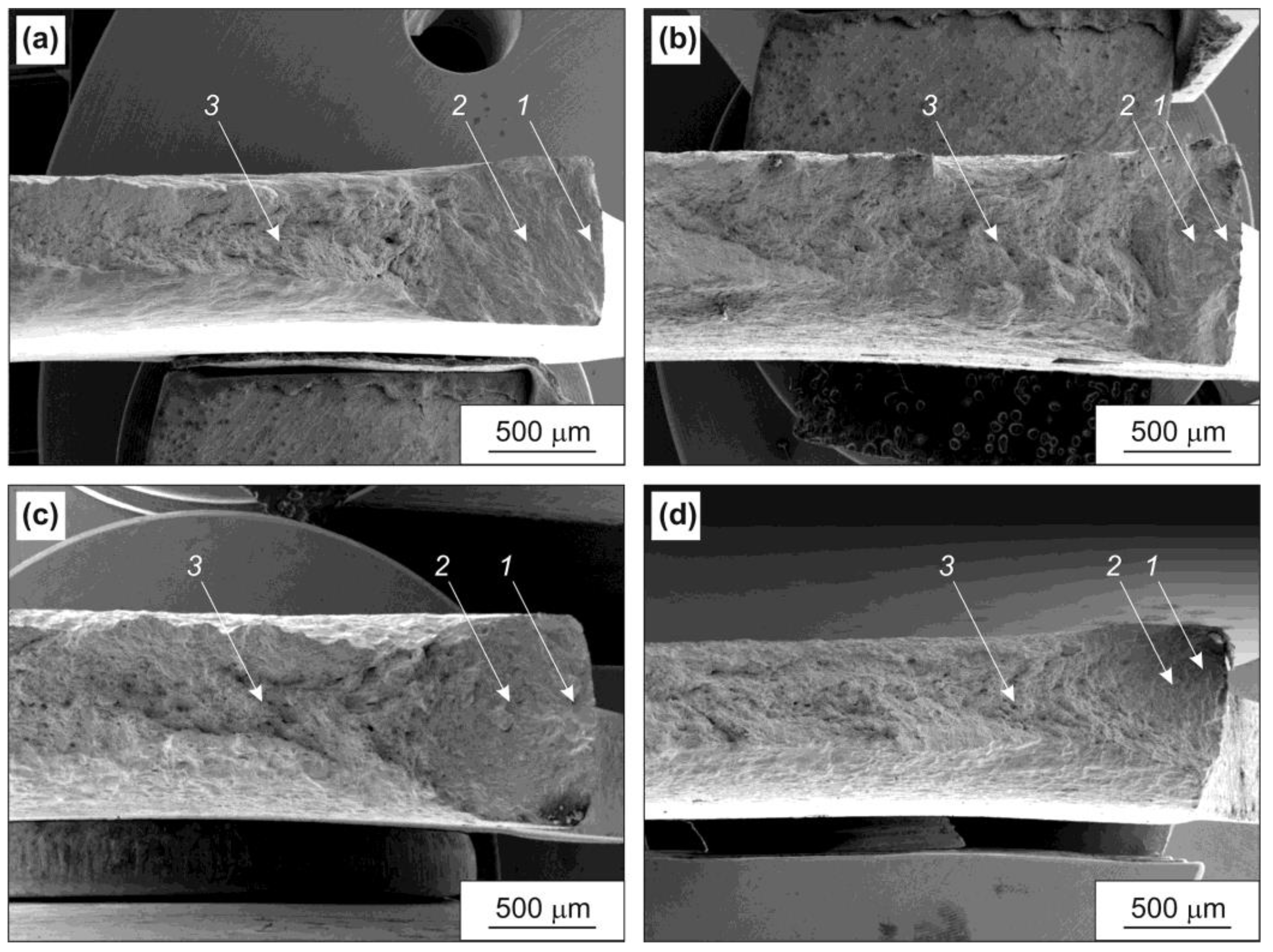 Metals 13 01707 g010