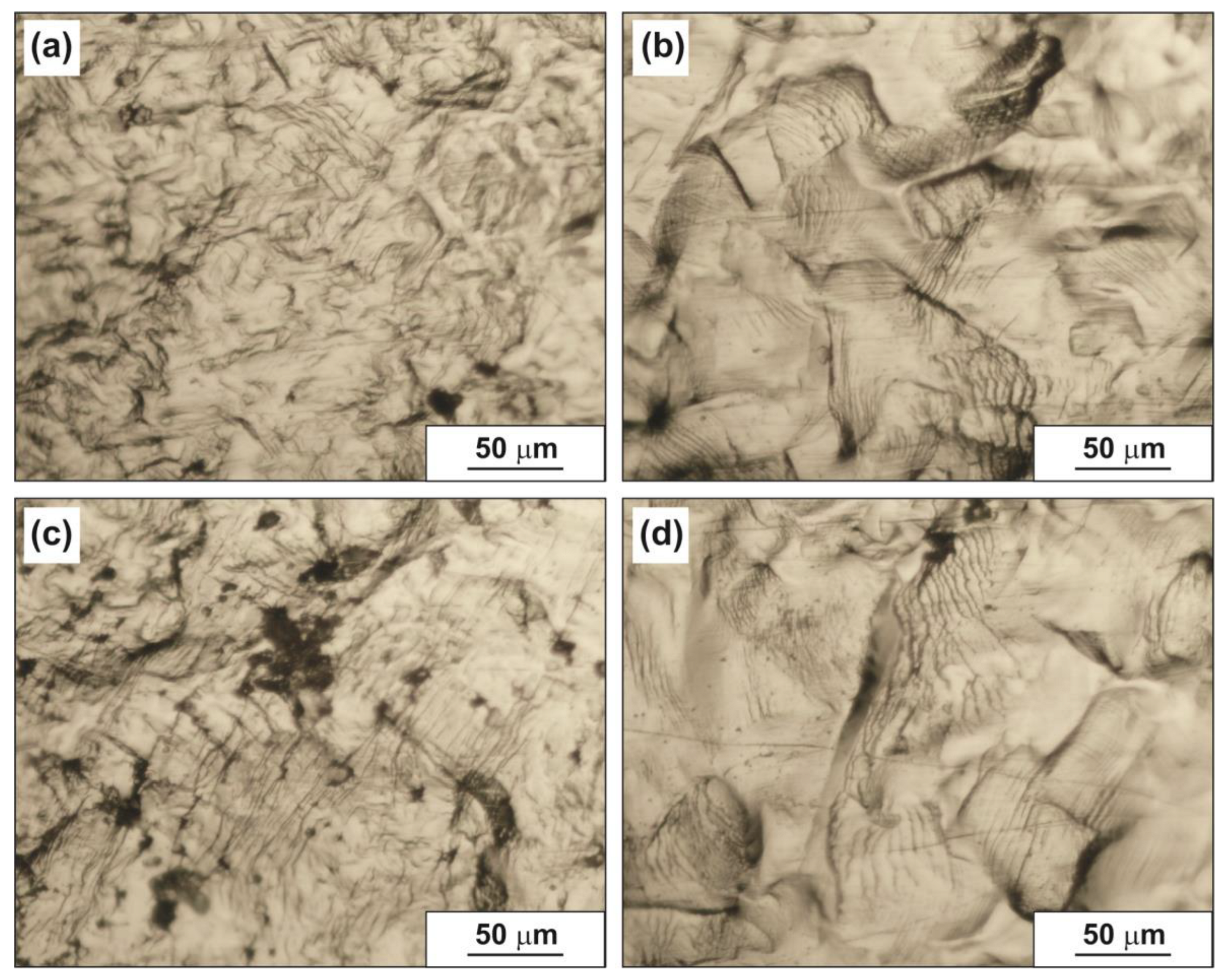 Metals 13 01707 g016