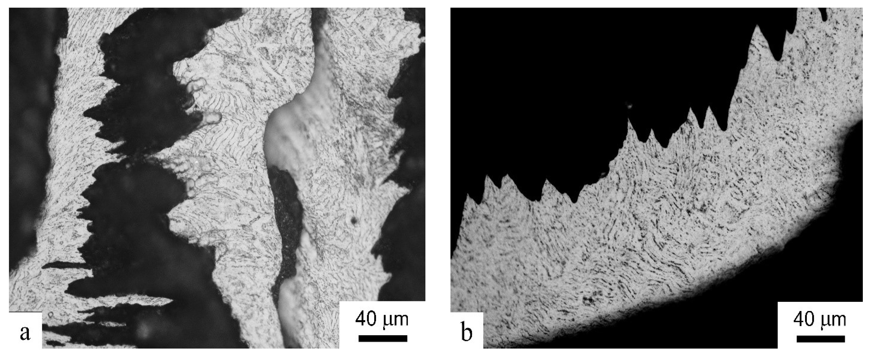 Metals 13 01721 g007