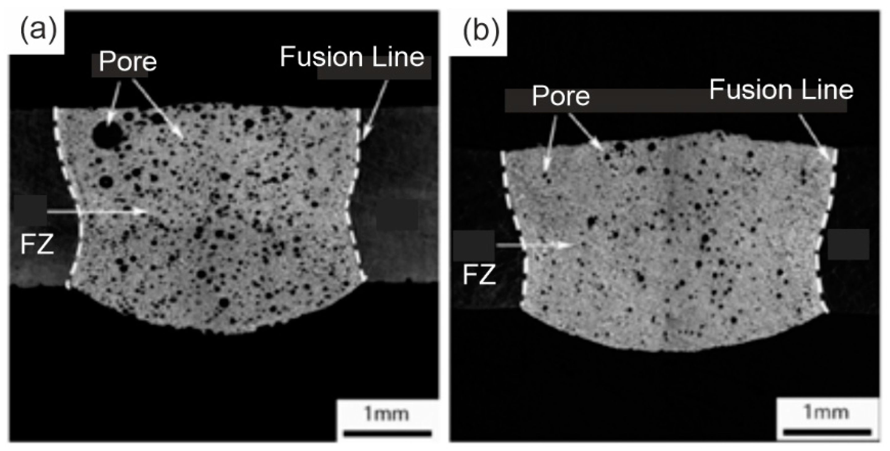 Metals 13 01724 g013