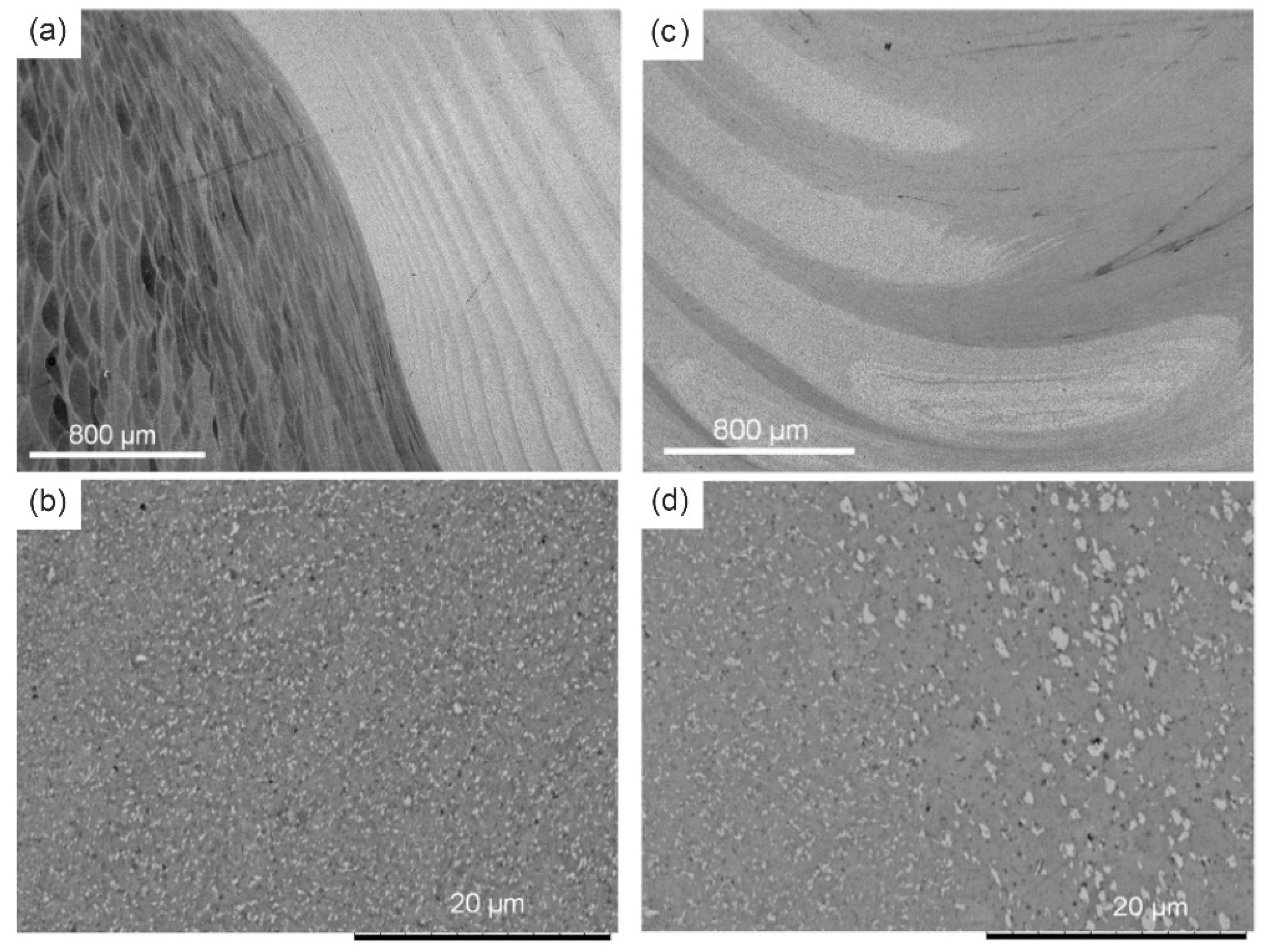 Metals 13 01724 g020