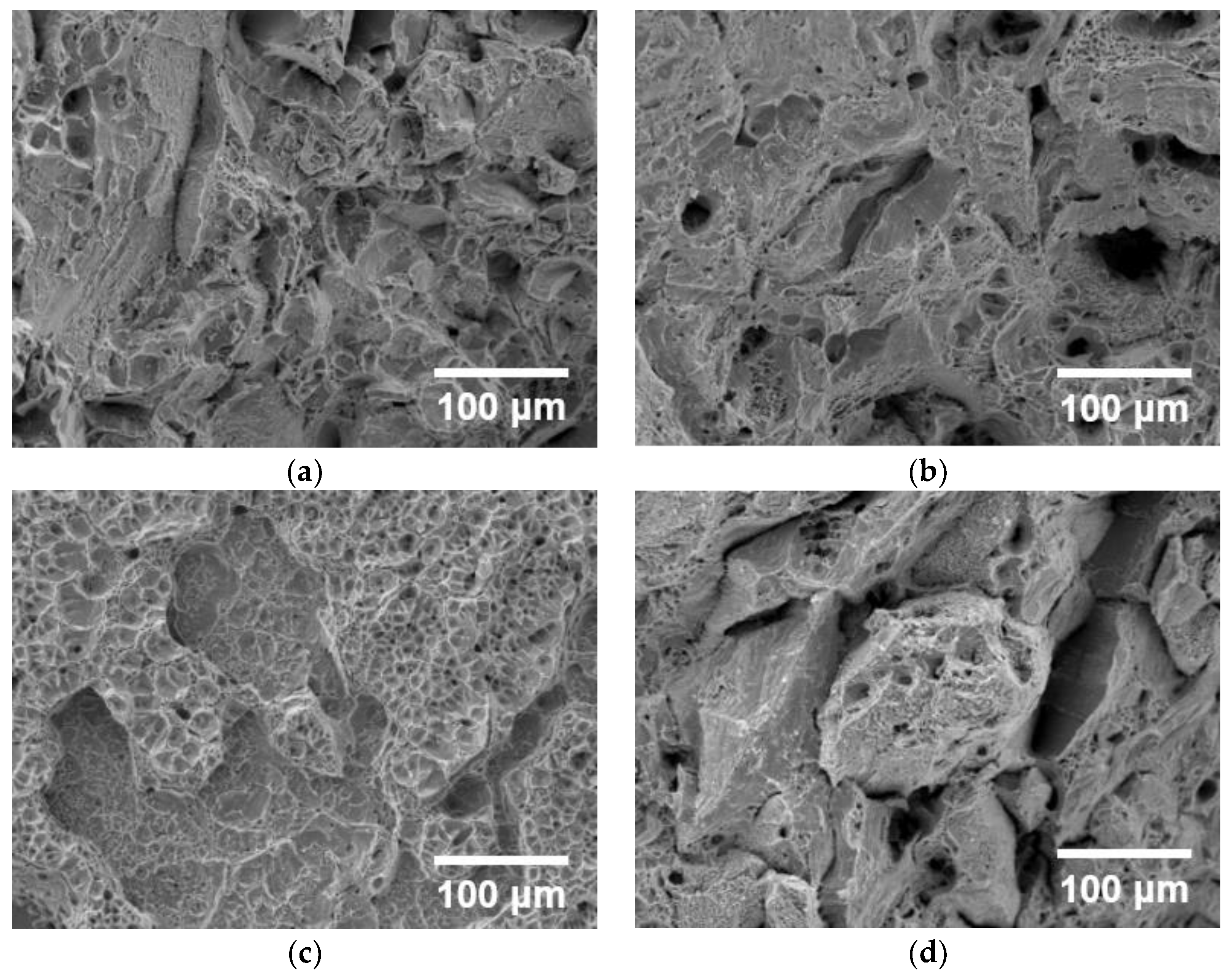 Metals 13 01727 g010