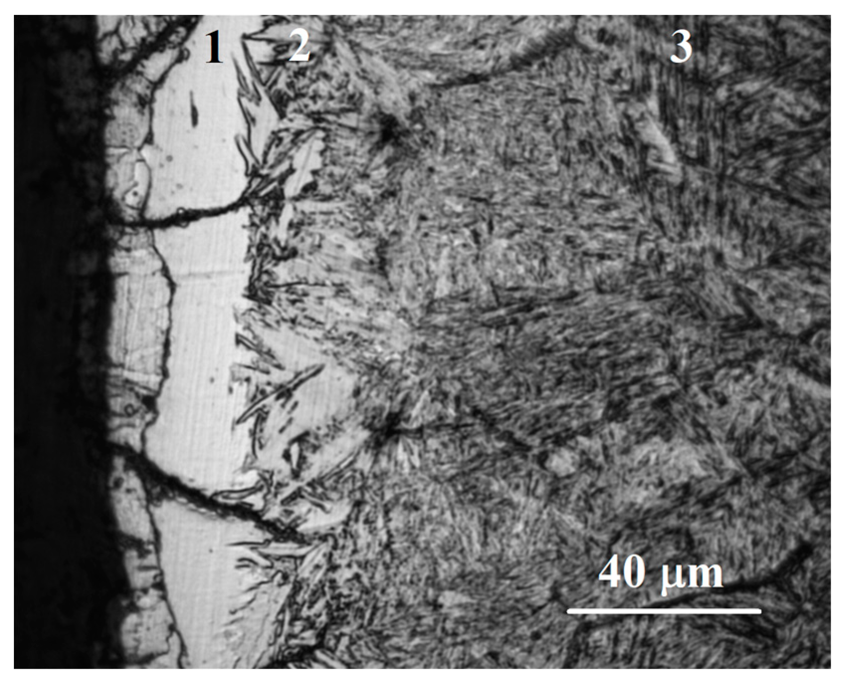 Metals 13 01731 g024