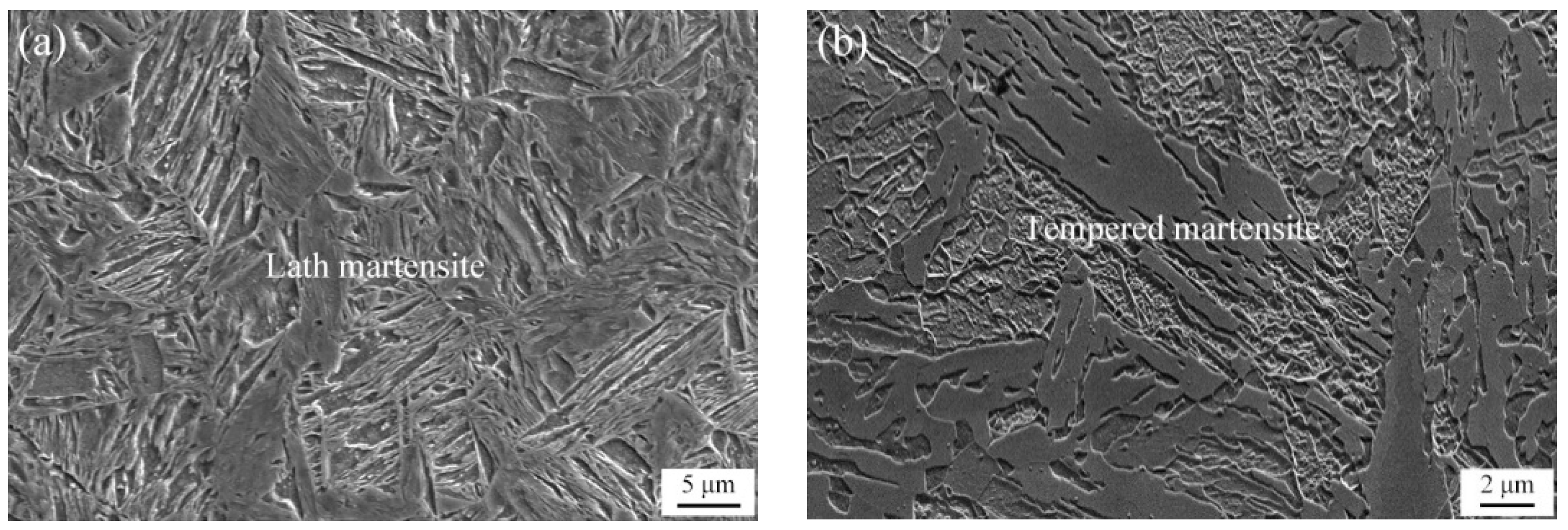 Metals 13 01737 g002a