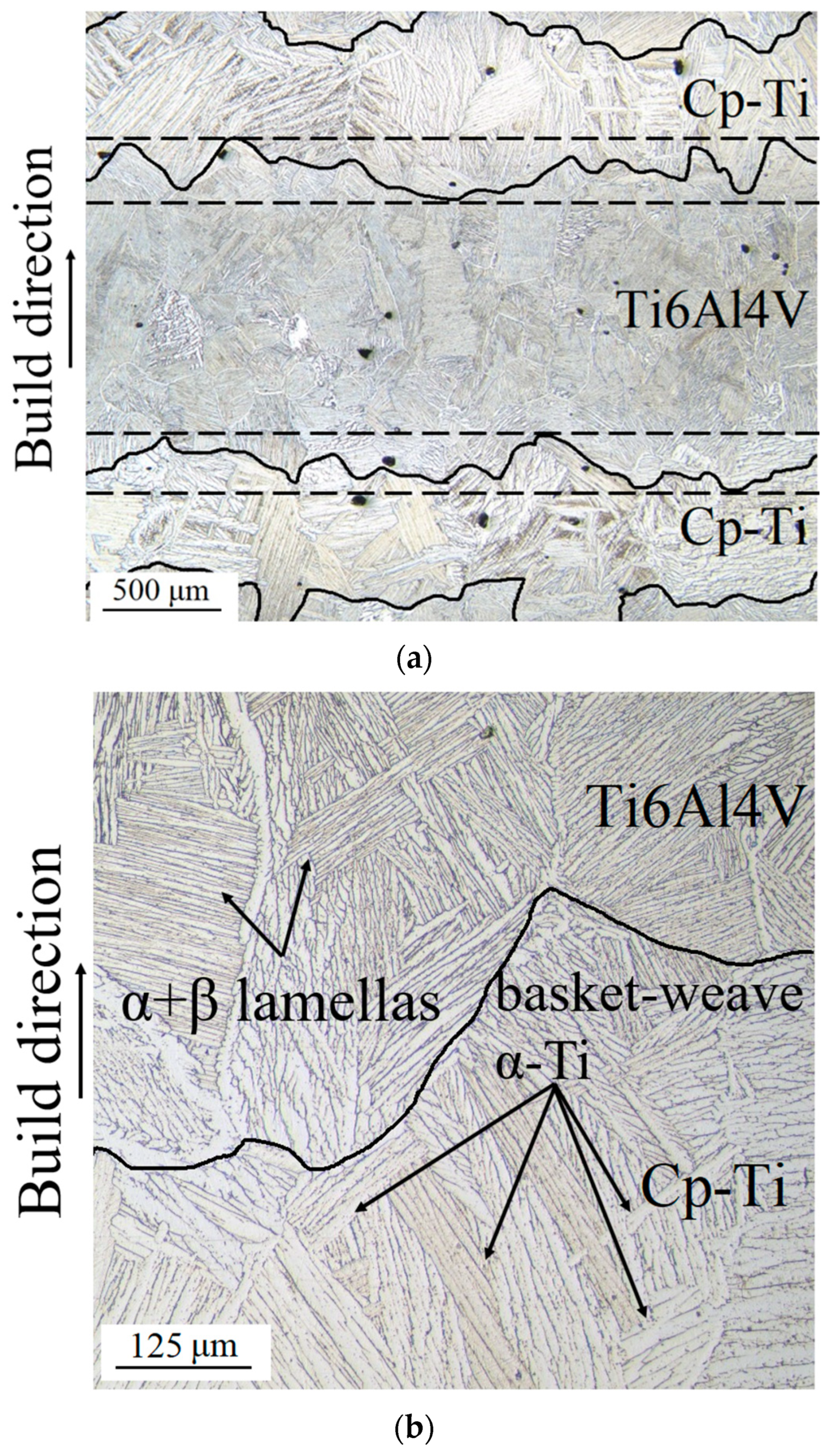 Metals 13 01738 g004