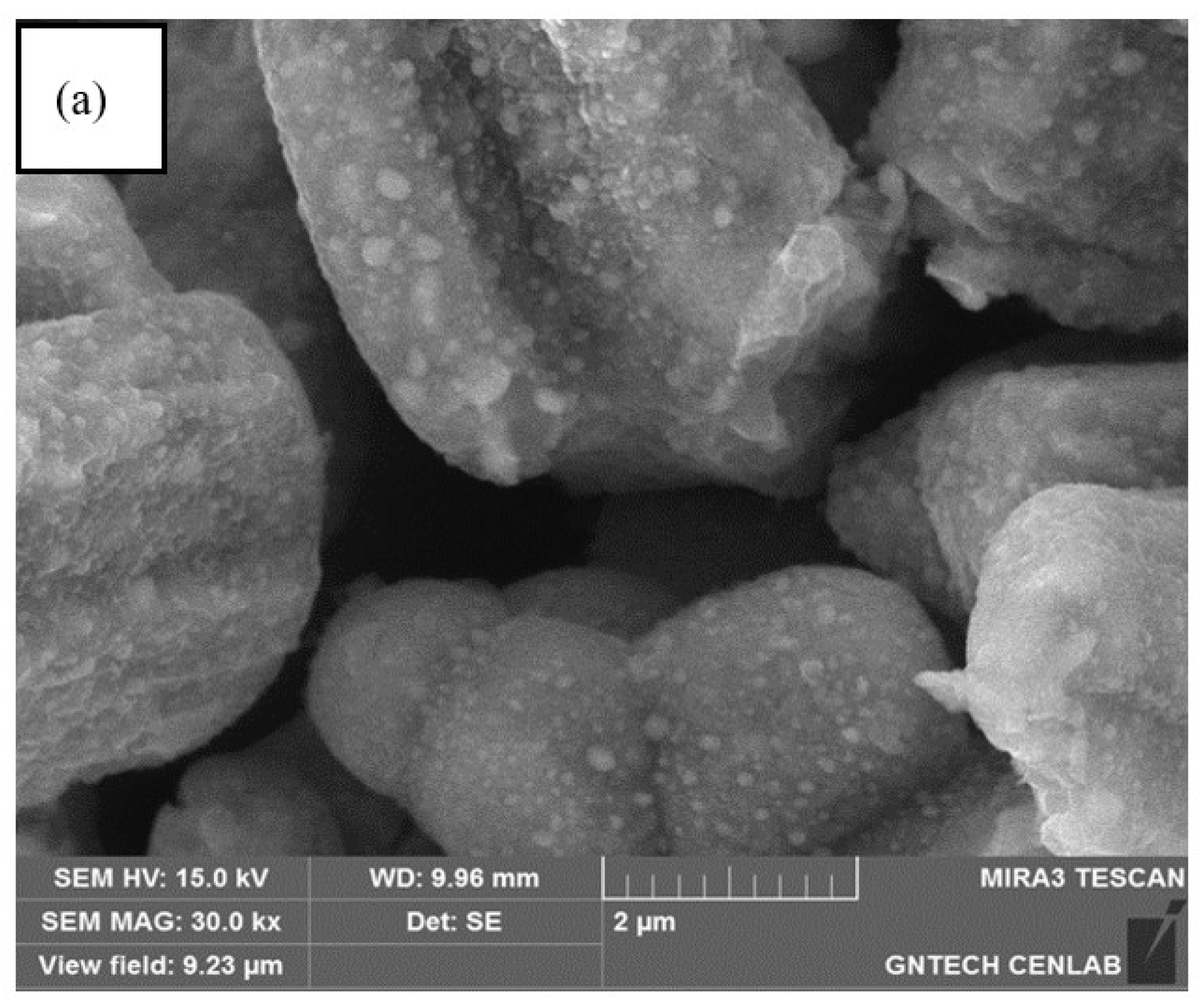 Metals 13 01743 g006a