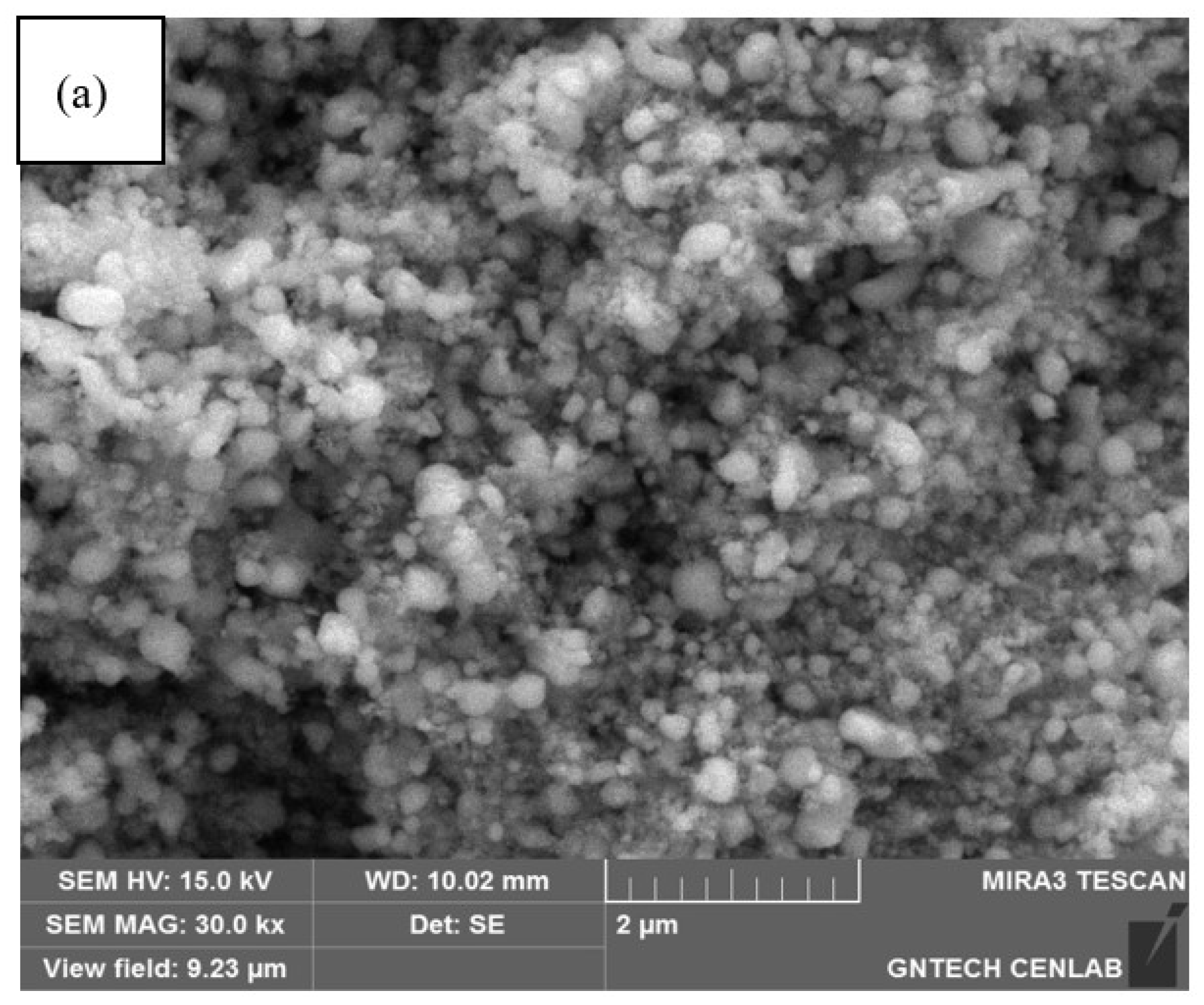 Metals 13 01743 g007a