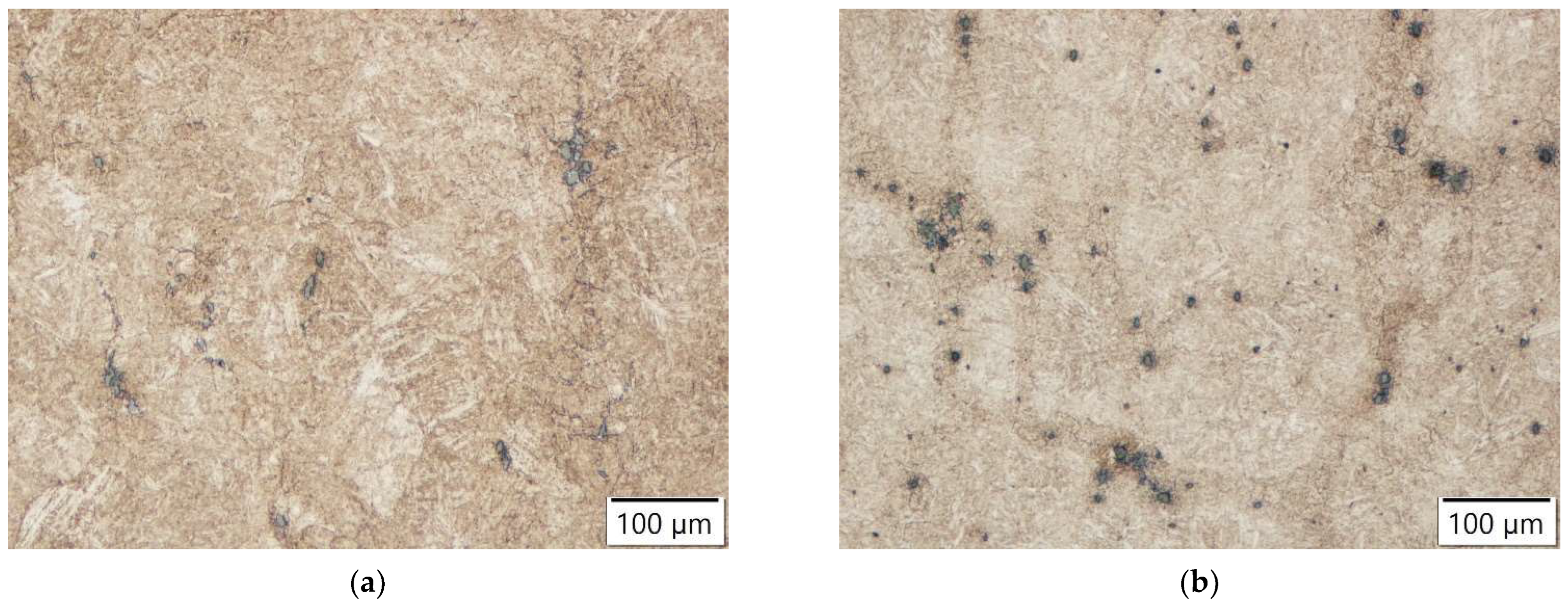 Metals 13 01759 g002a