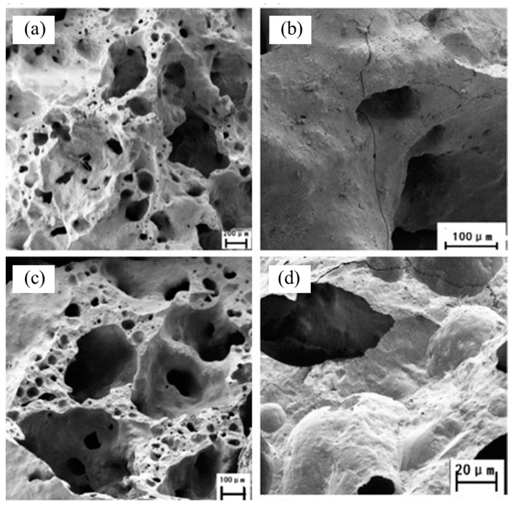 Metals 13 01768 g008