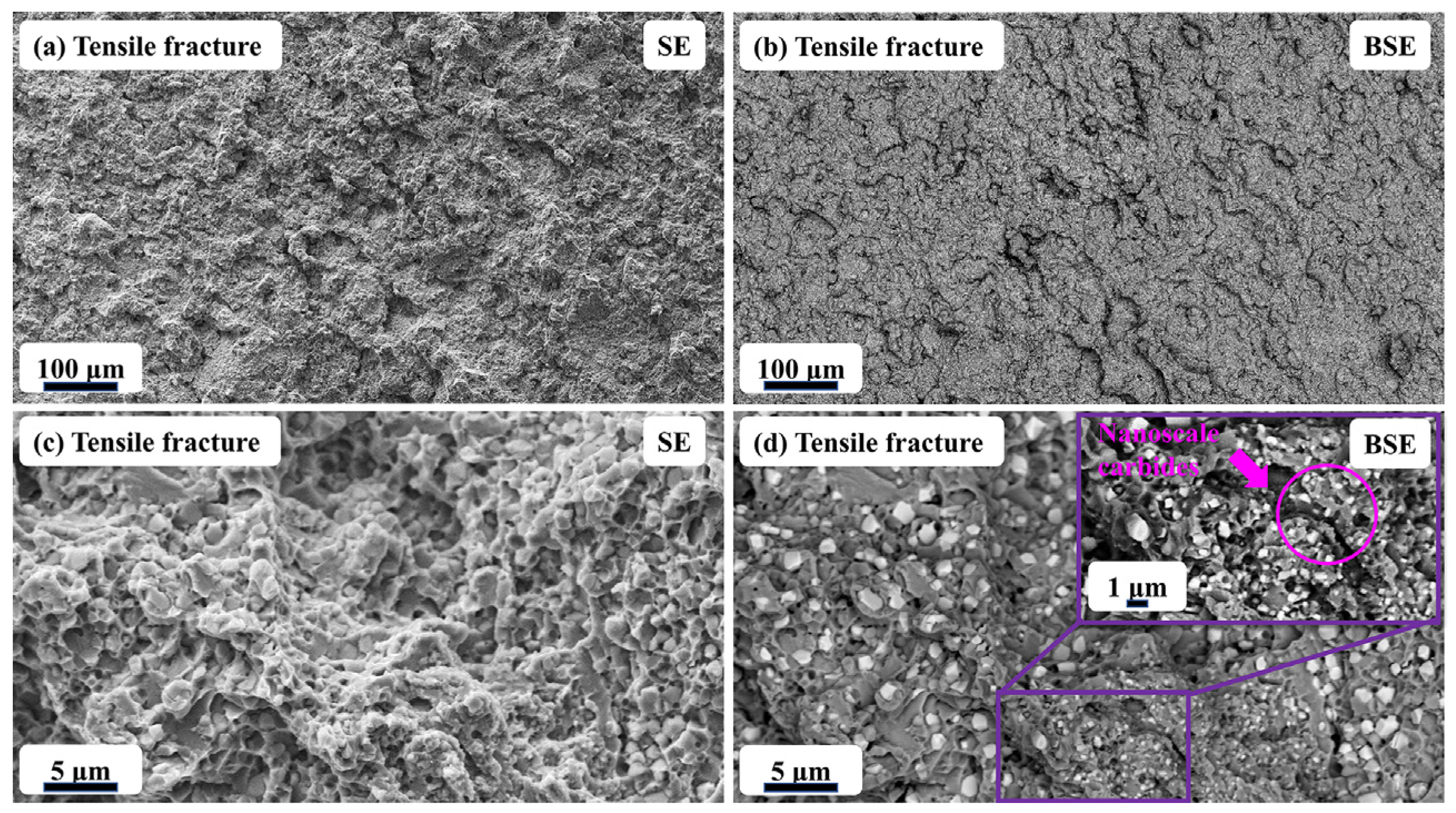Metals 13 01783 g013