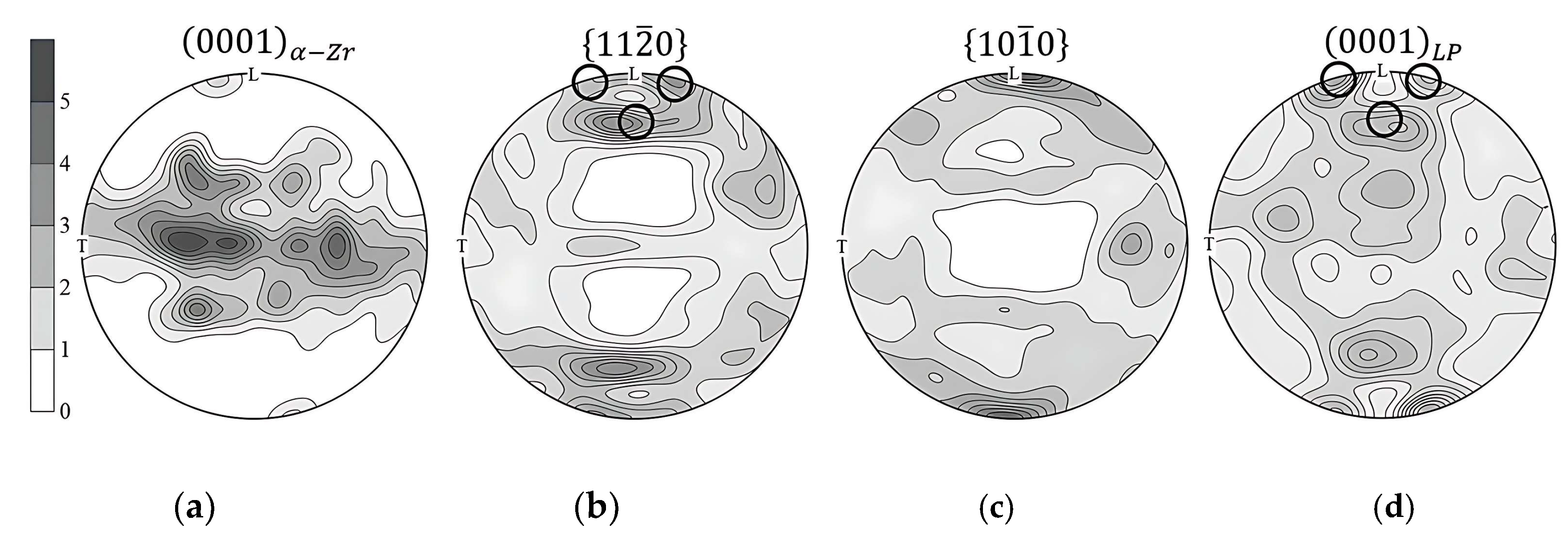 Metals 13 01784 g012