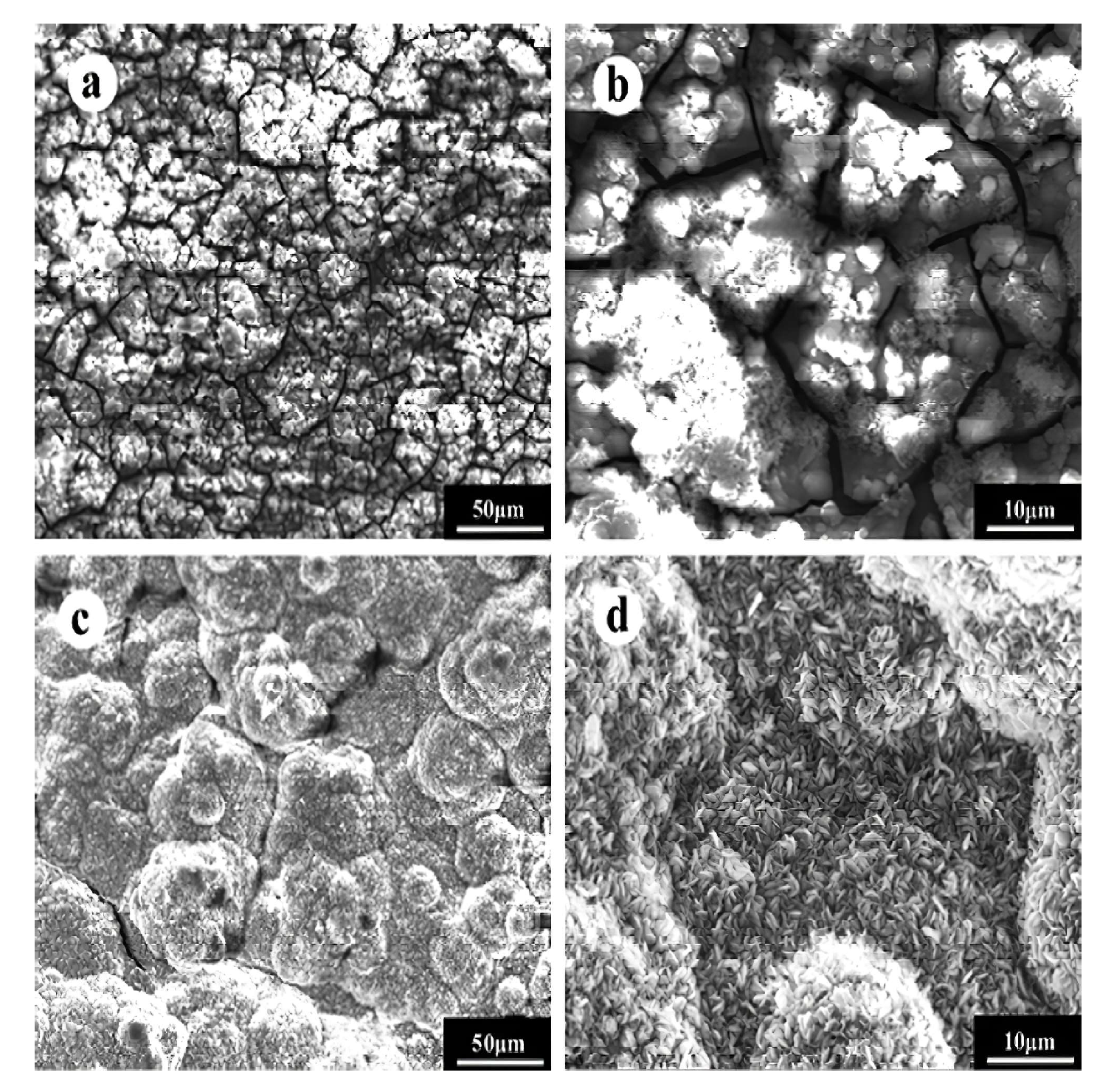 Metals 13 01790 g008