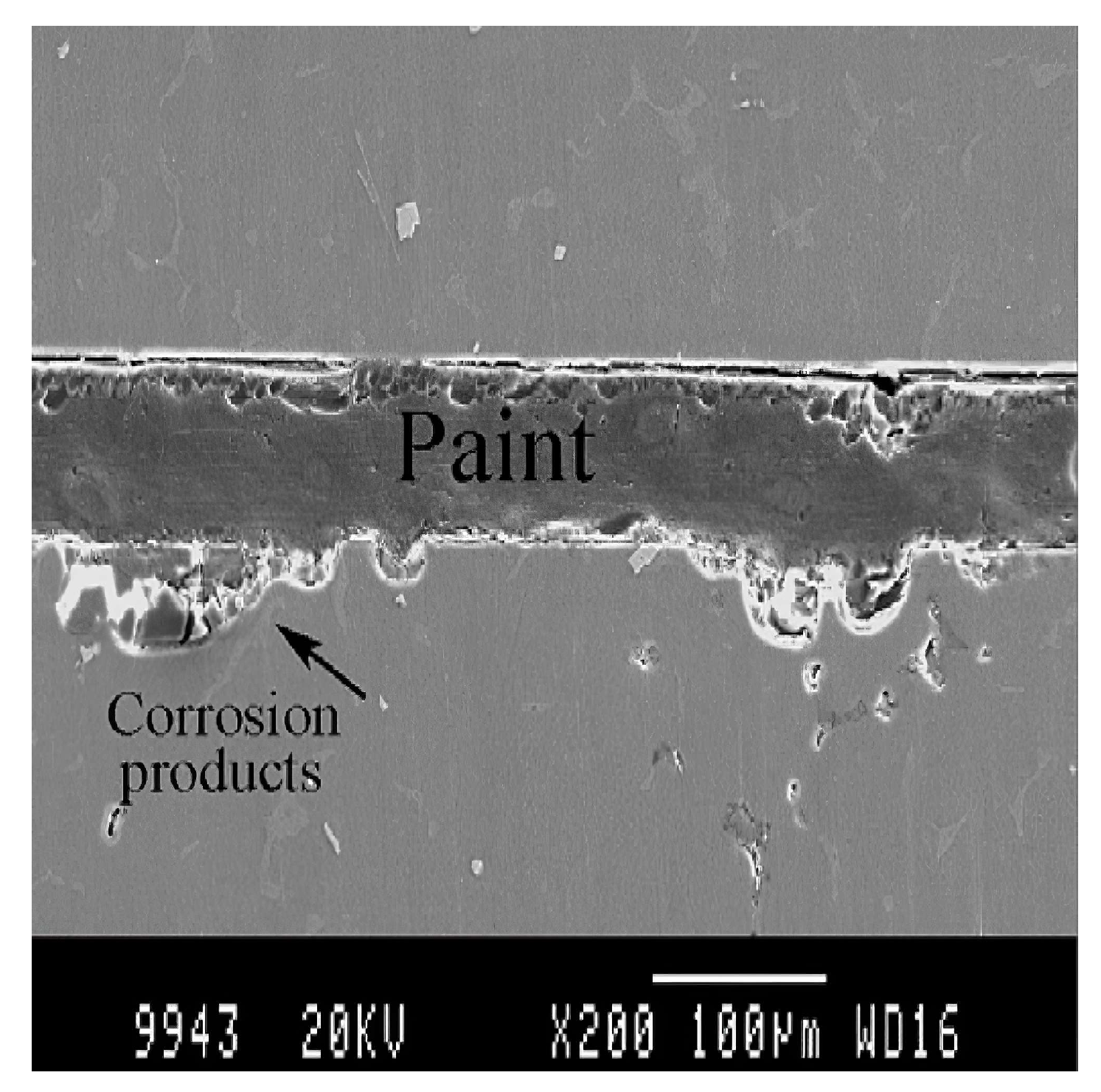 Metals 13 01790 g011