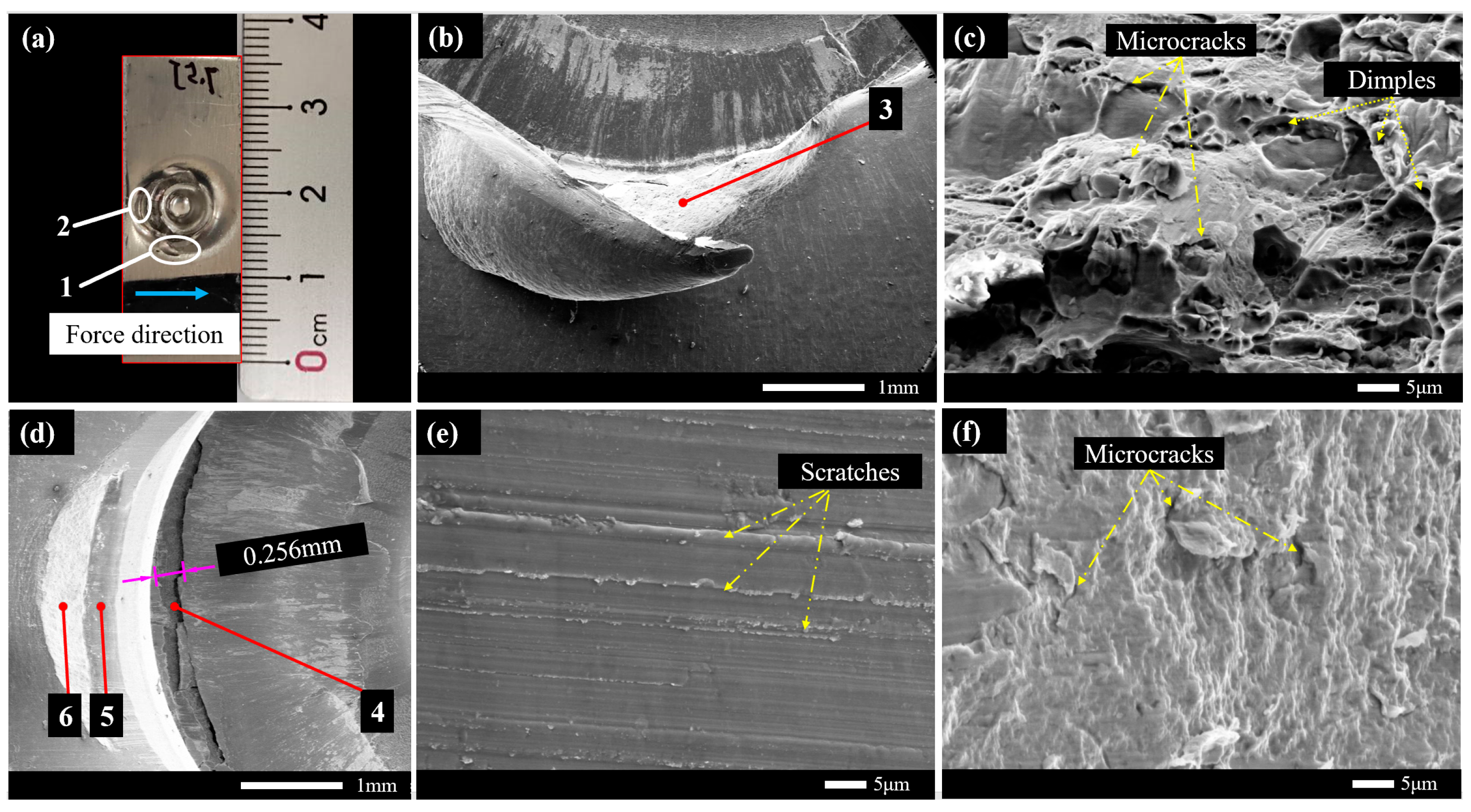 Metals 13 01800 g011