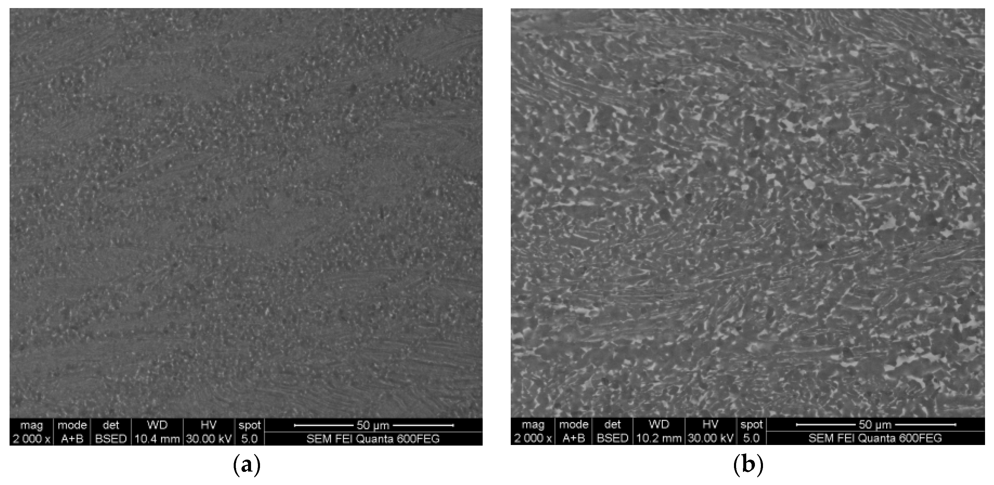 Metals 13 01812 g003a