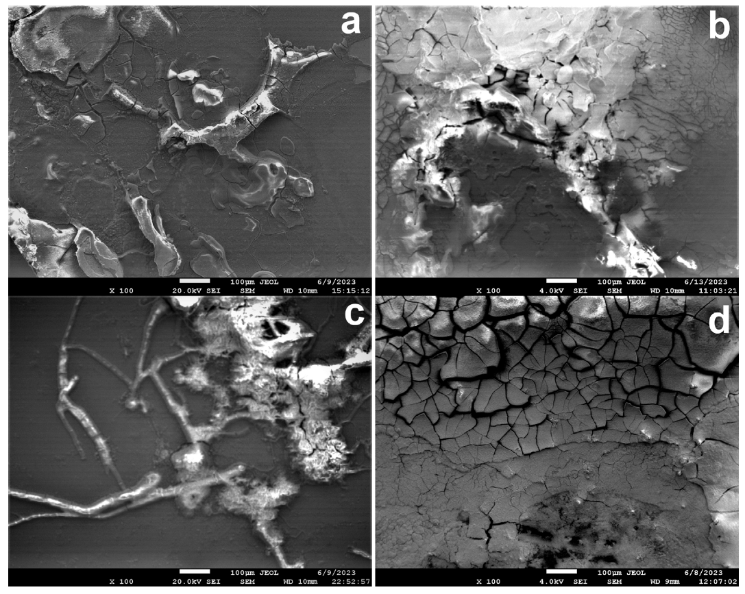 Metals 13 01817 g007