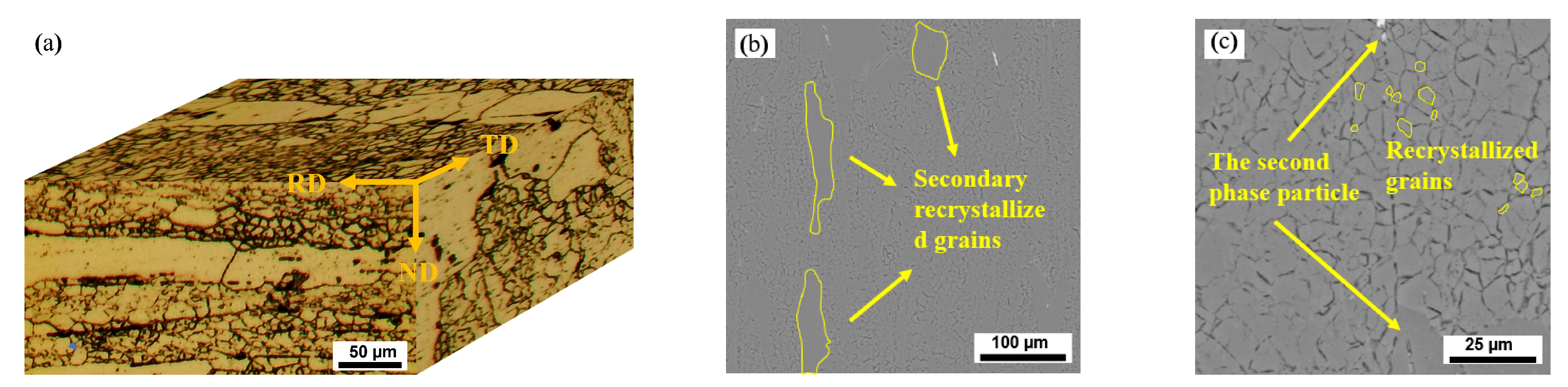 Metals 13 01819 g001