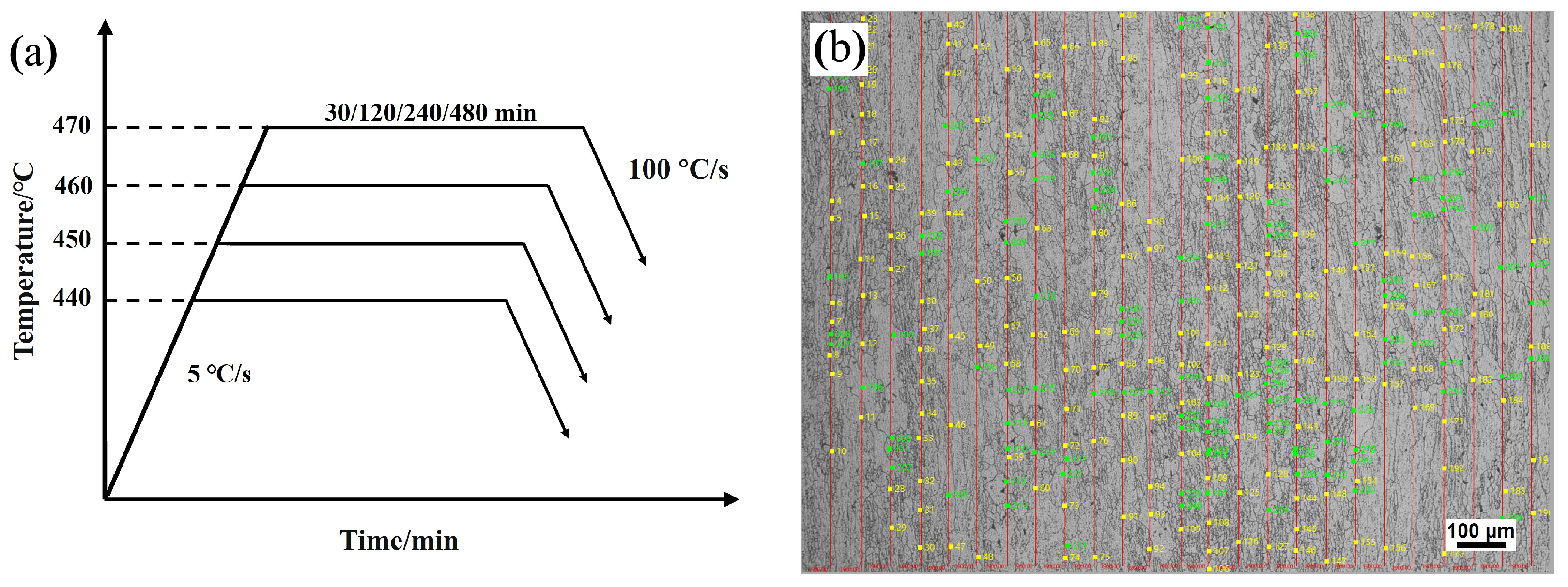 Metals 13 01819 g002