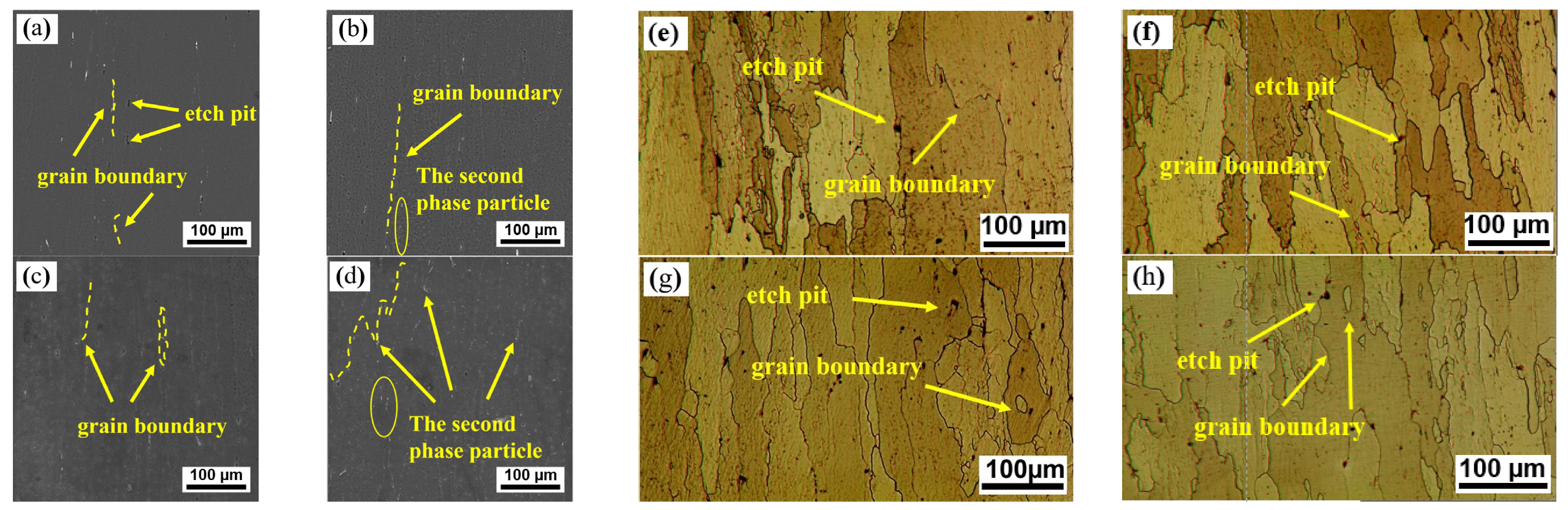 Metals 13 01819 g003