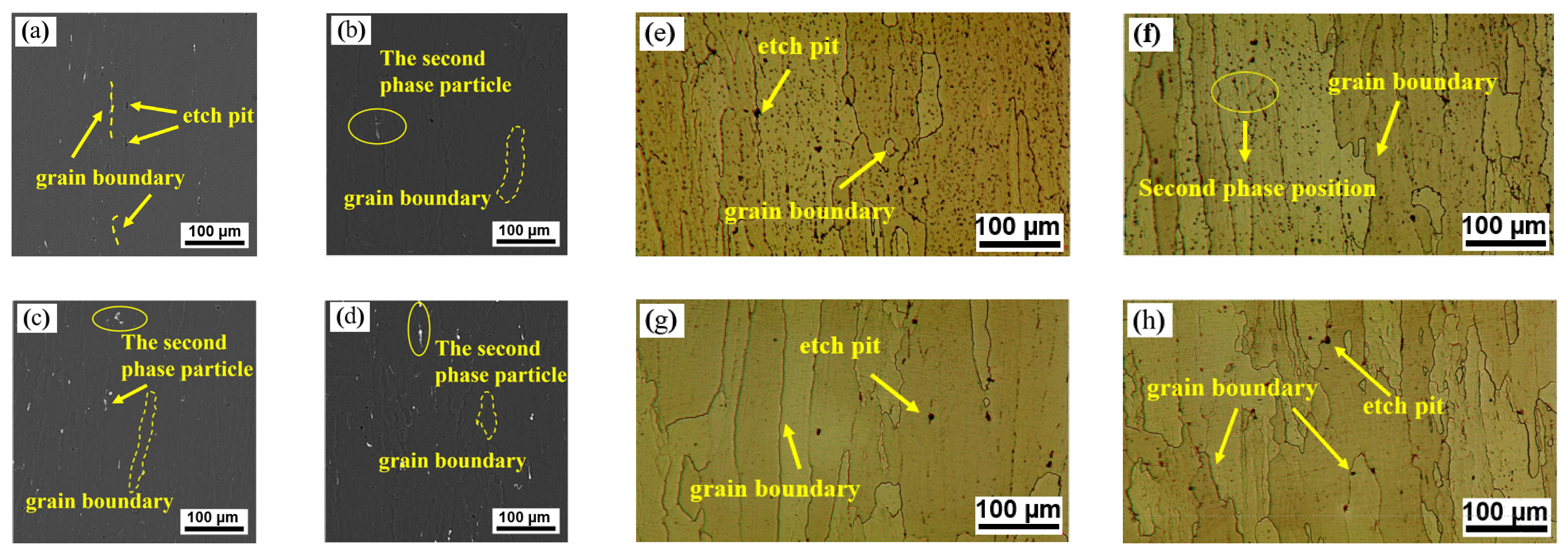 Metals 13 01819 g005