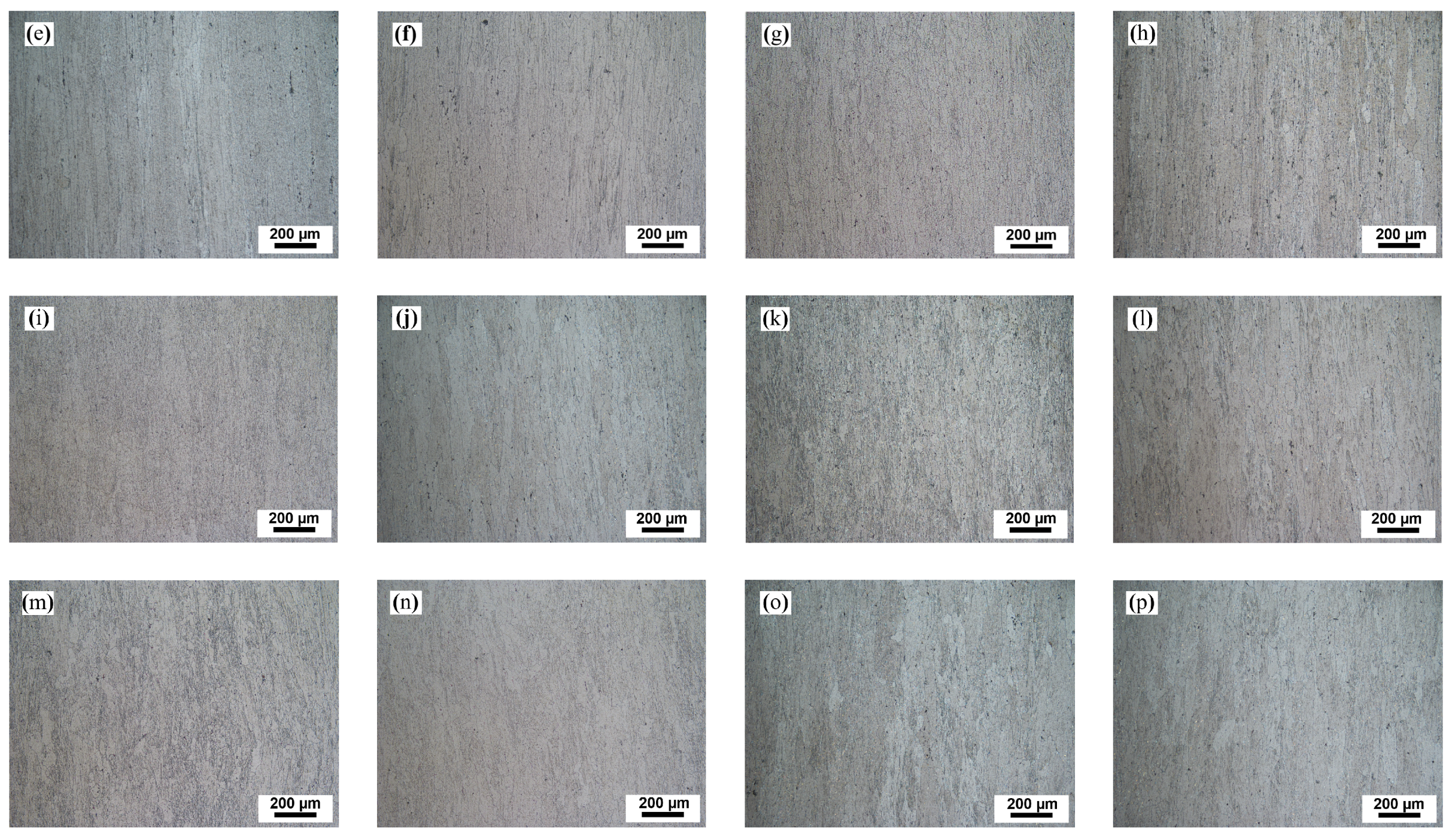 Metals 13 01819 g008b