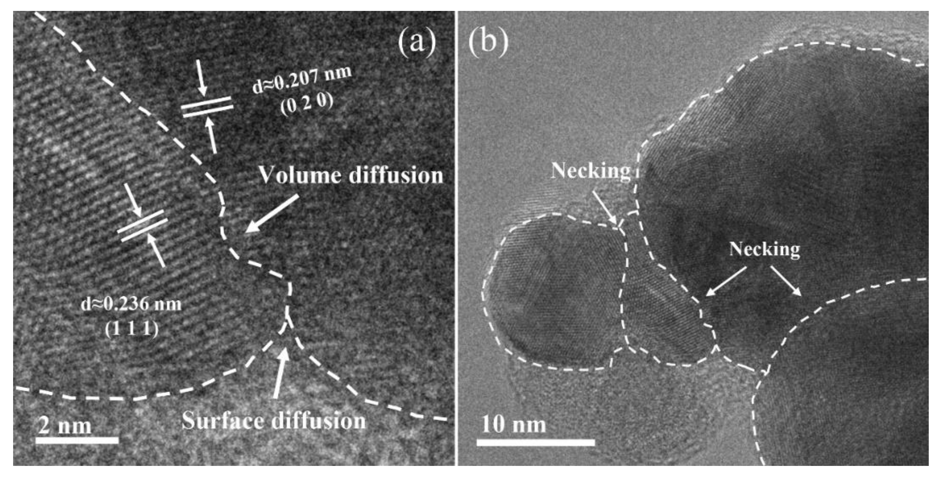 Metals 13 01833 g008