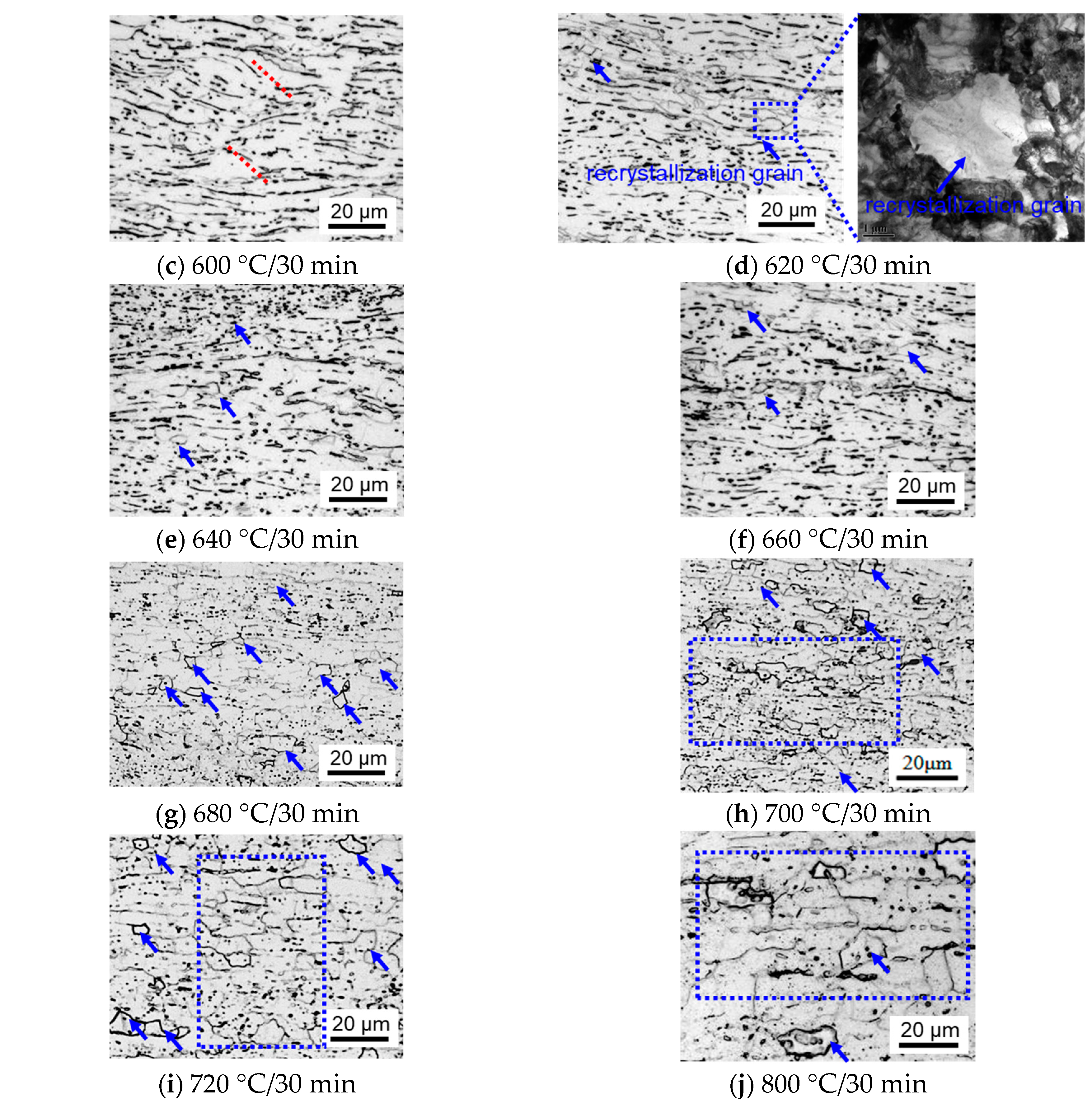 Metals 13 01841 g003b