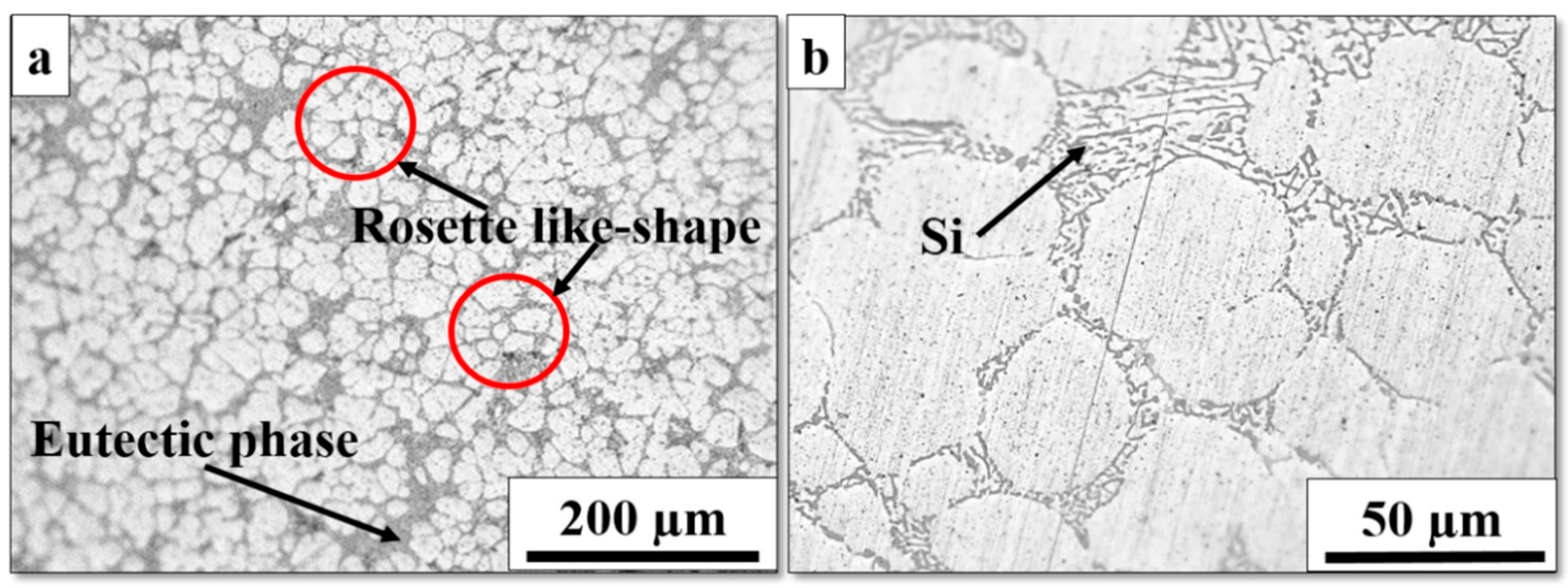 Metals 13 01843 g004