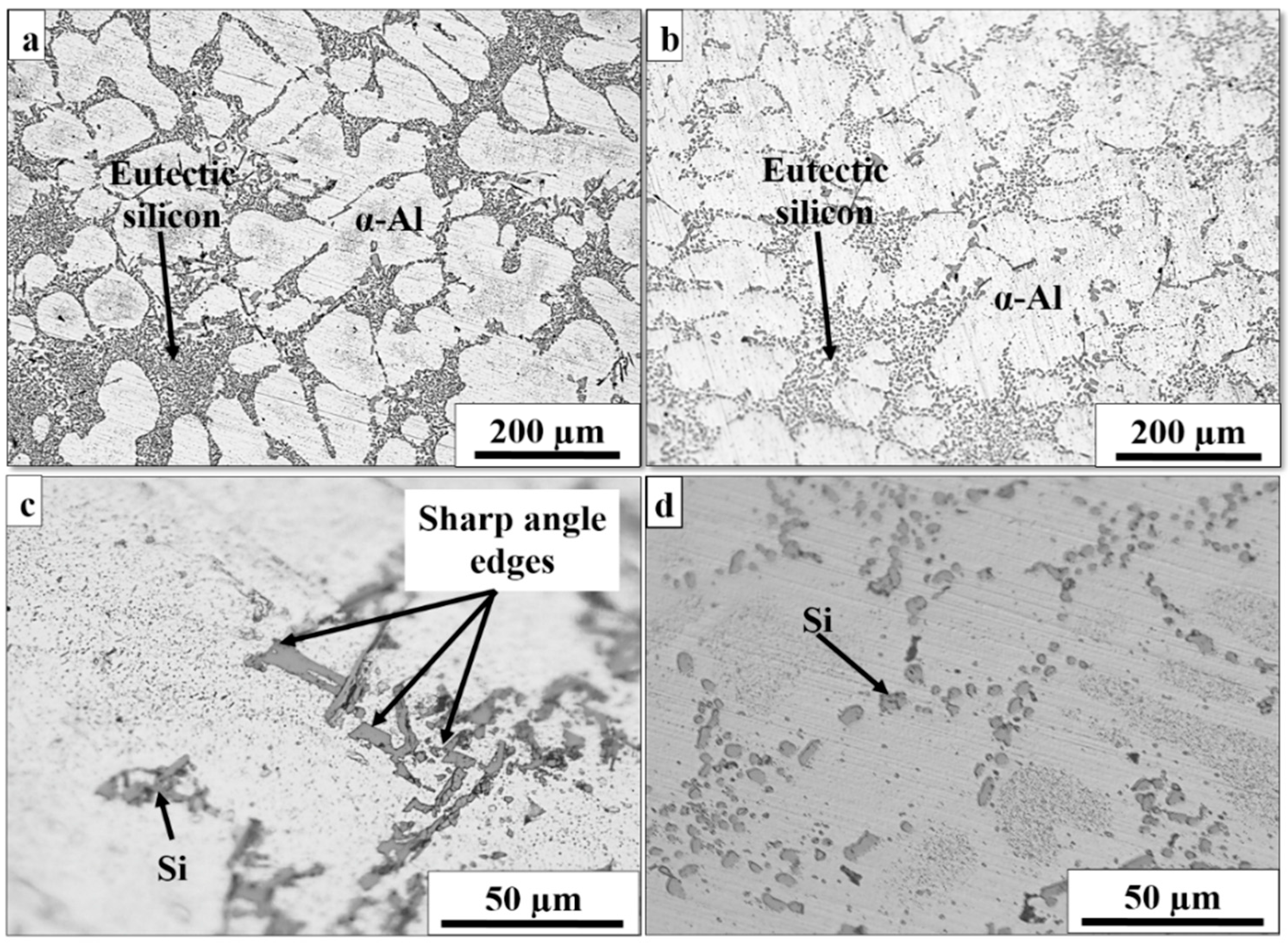 Metals 13 01843 g006