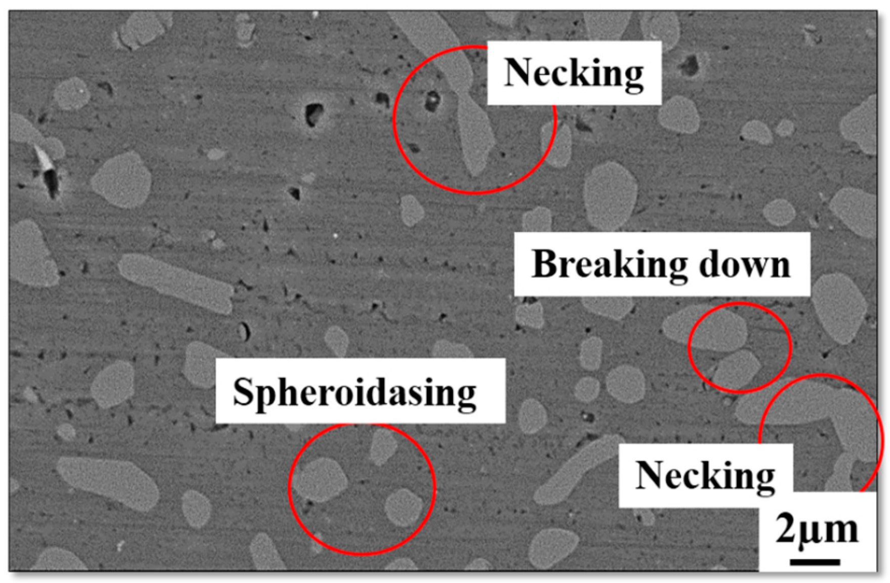 Metals 13 01843 g007