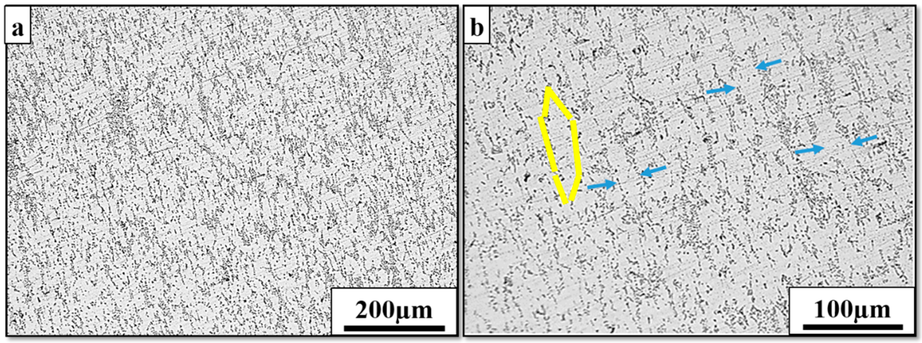 Metals 13 01843 g011