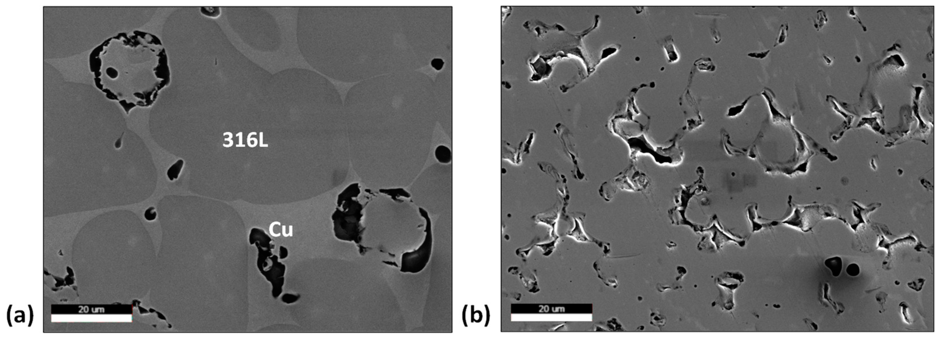 Metals 13 01858 g006