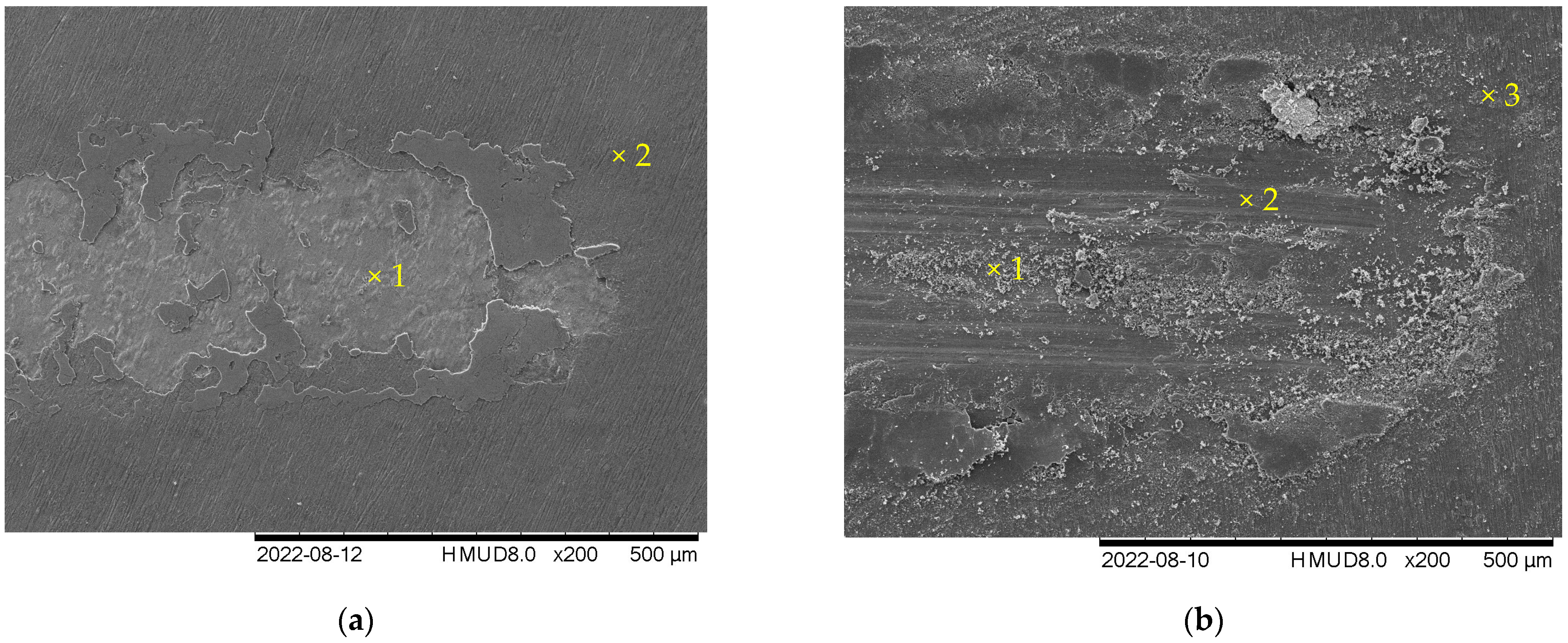 Metals 13 01859 g013