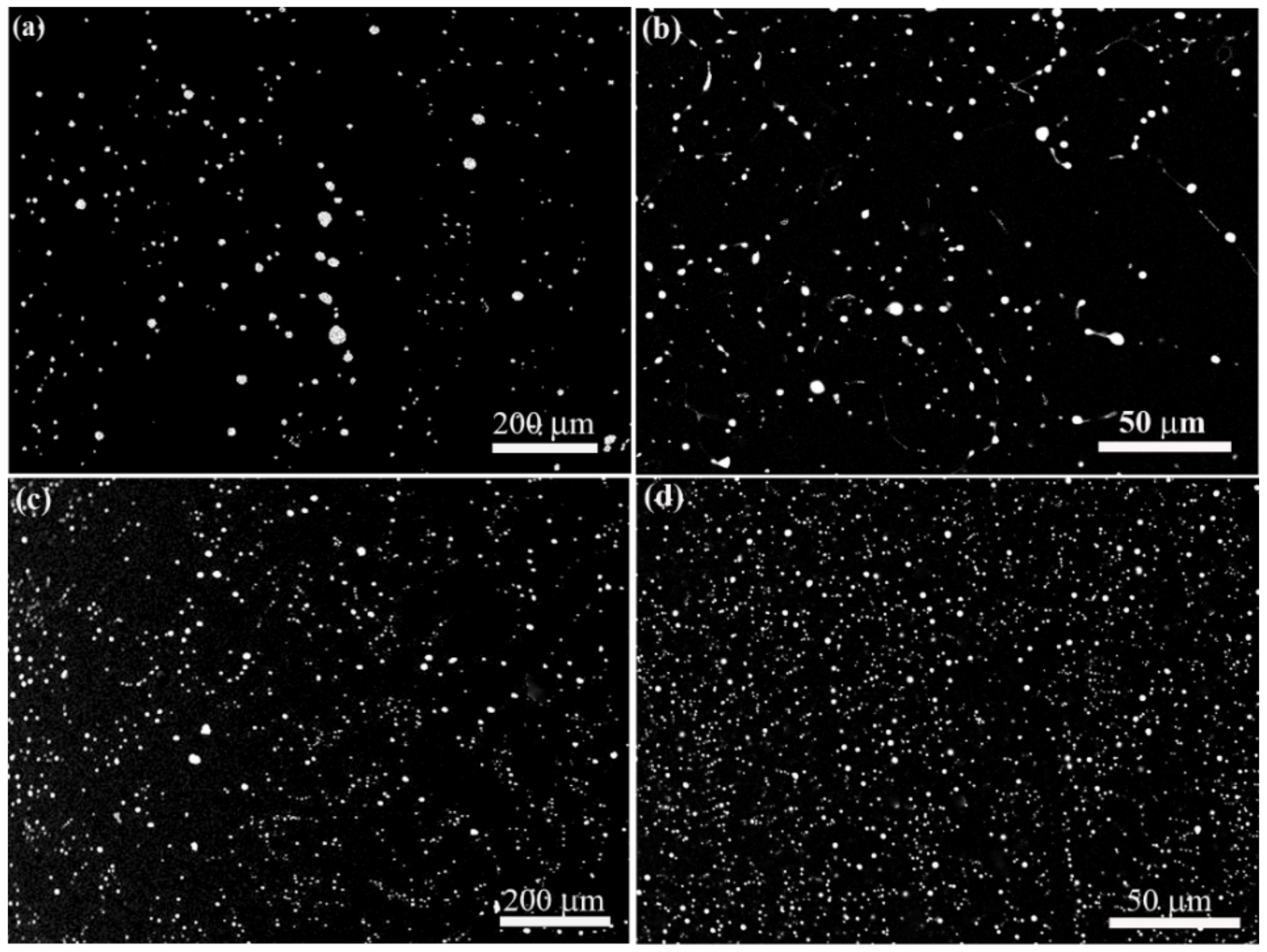 Metals 13 01867 g002