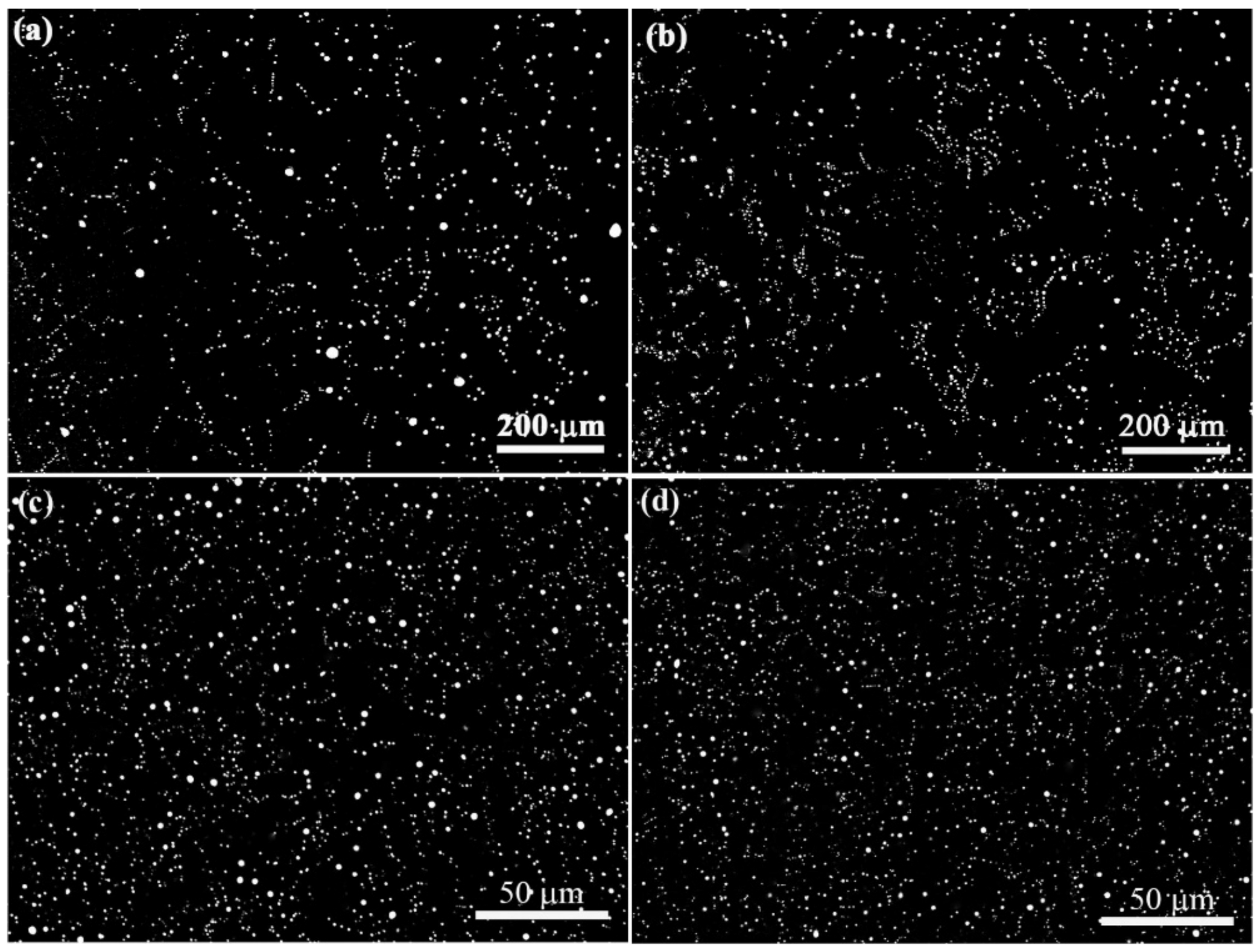 Metals 13 01867 g006