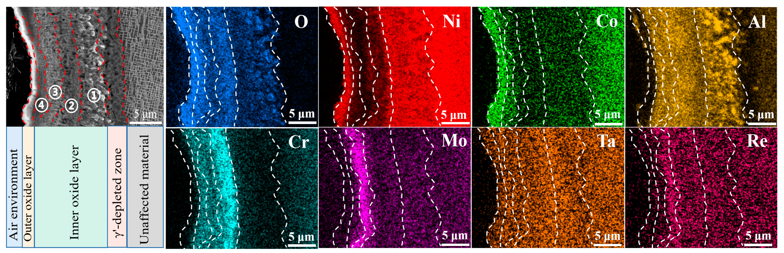 Metals 13 01878 g005