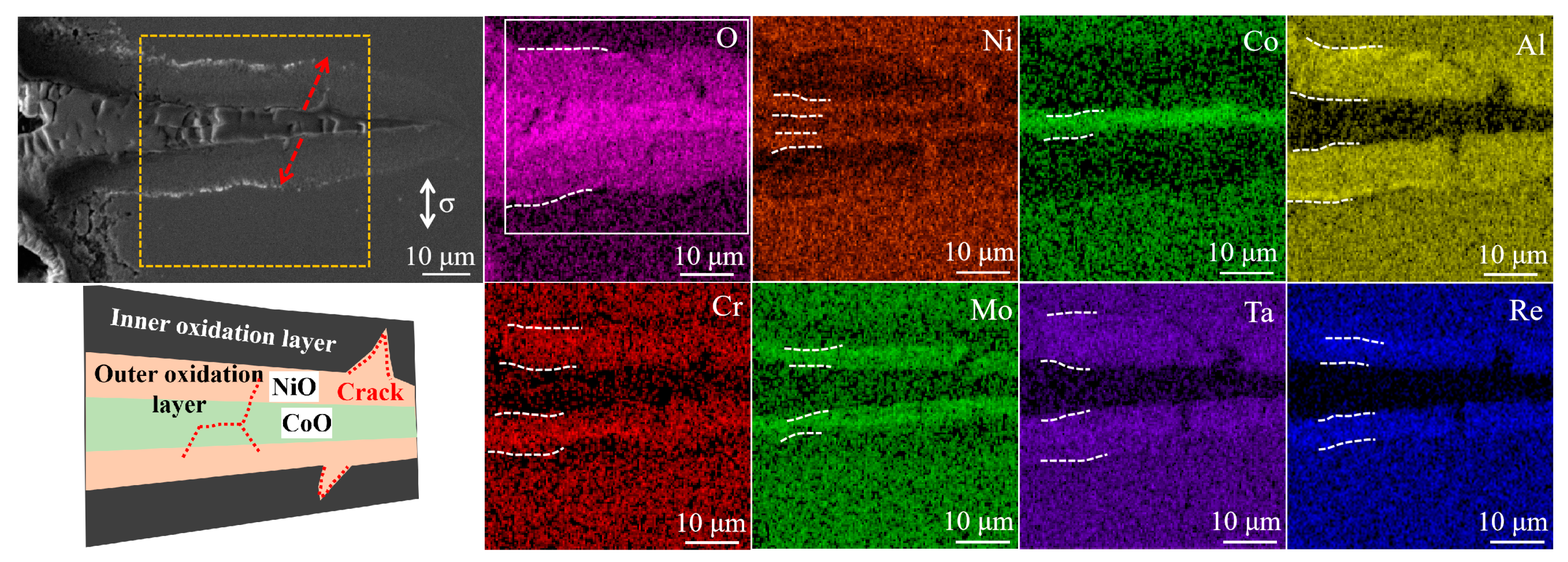 Metals 13 01878 g007