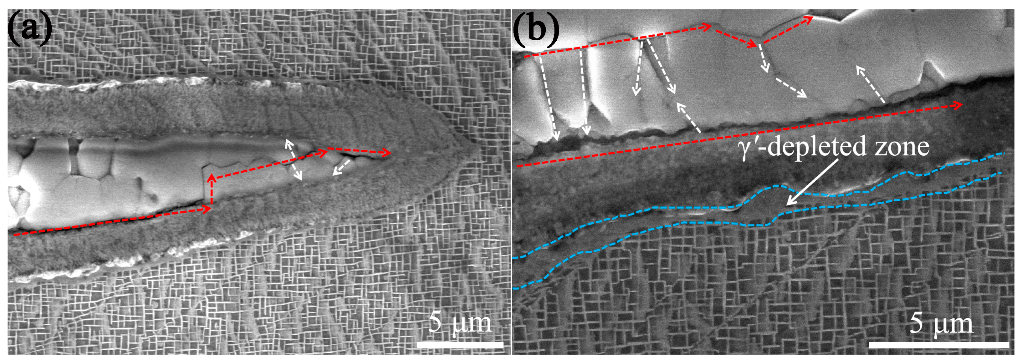 Metals 13 01878 g010