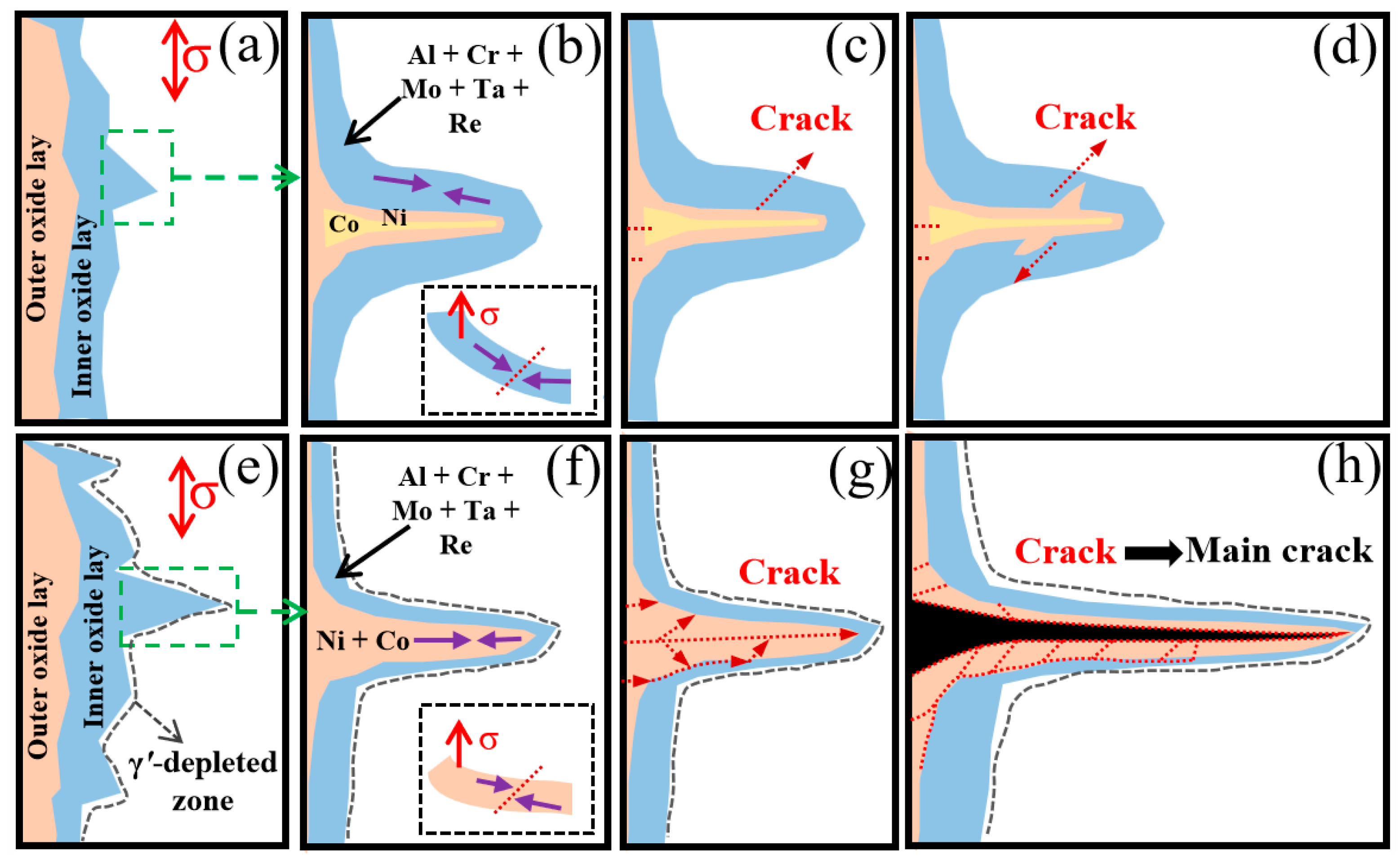 Metals 13 01878 g013