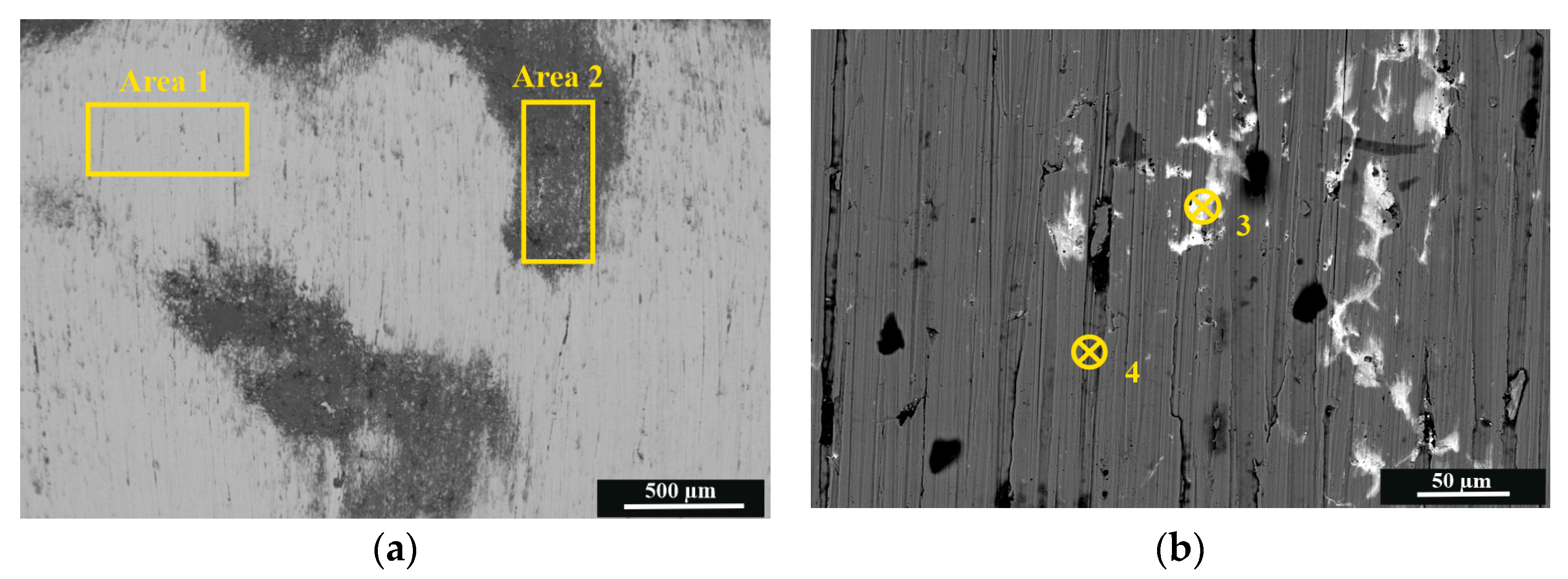 Metals 13 01883 g002