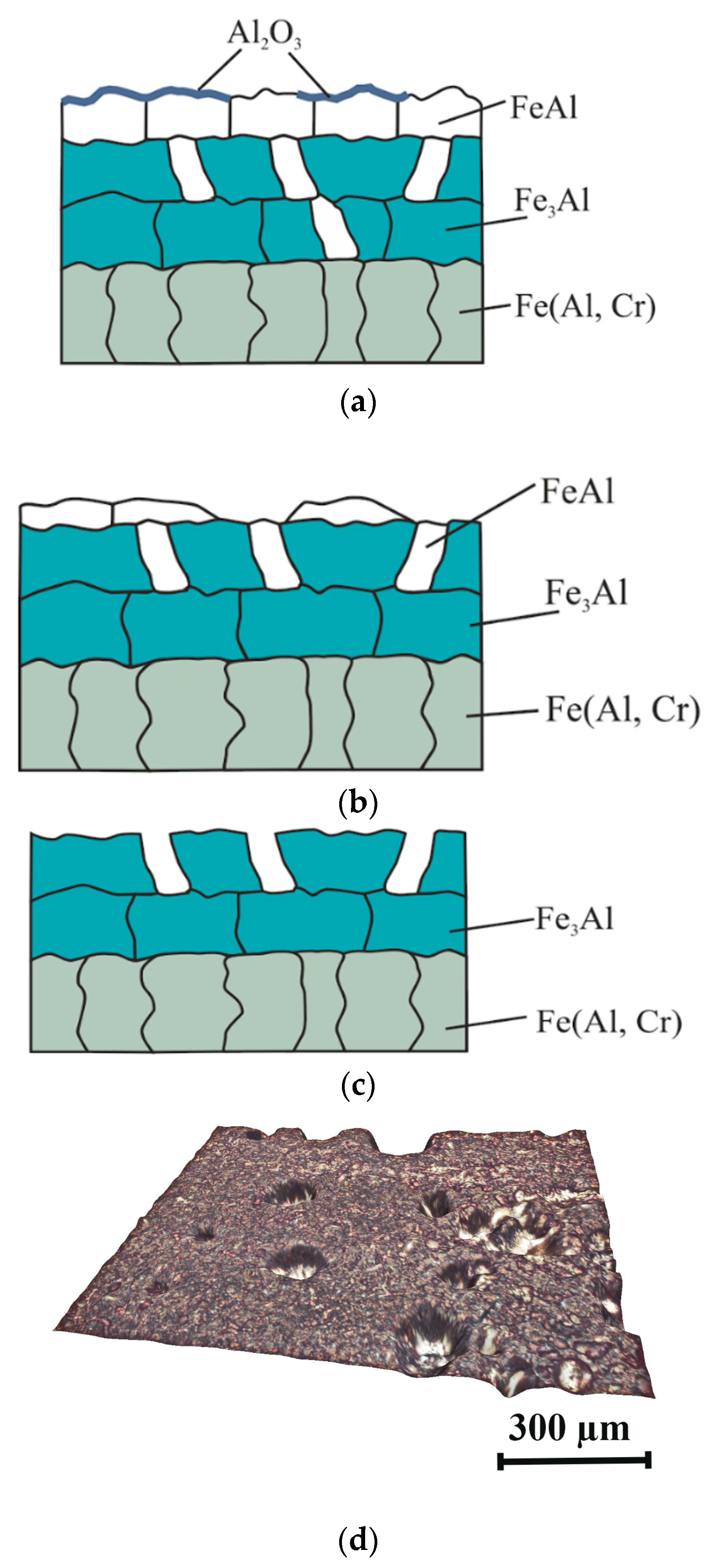 Metals 13 01883 g006