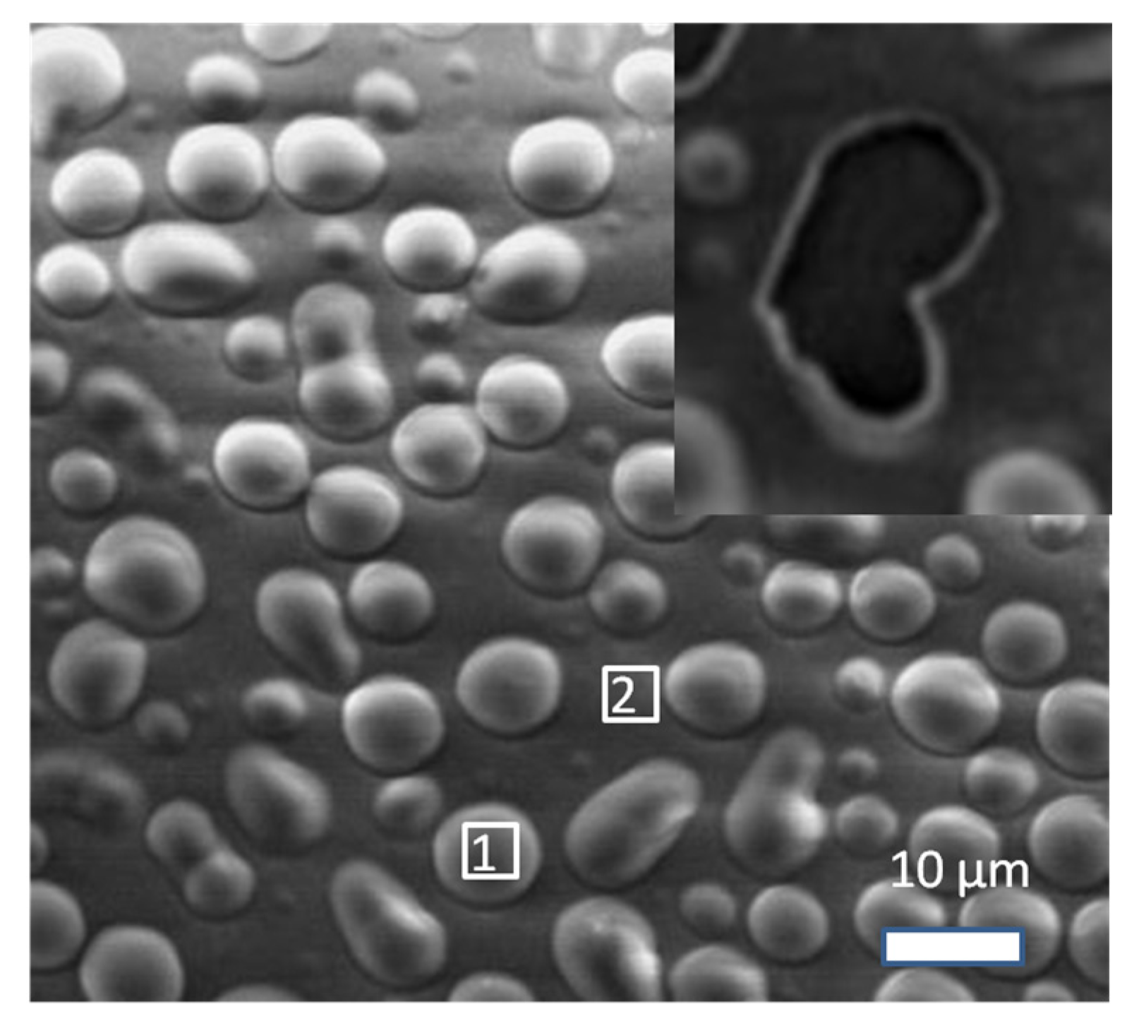 Metals 13 01927 g002