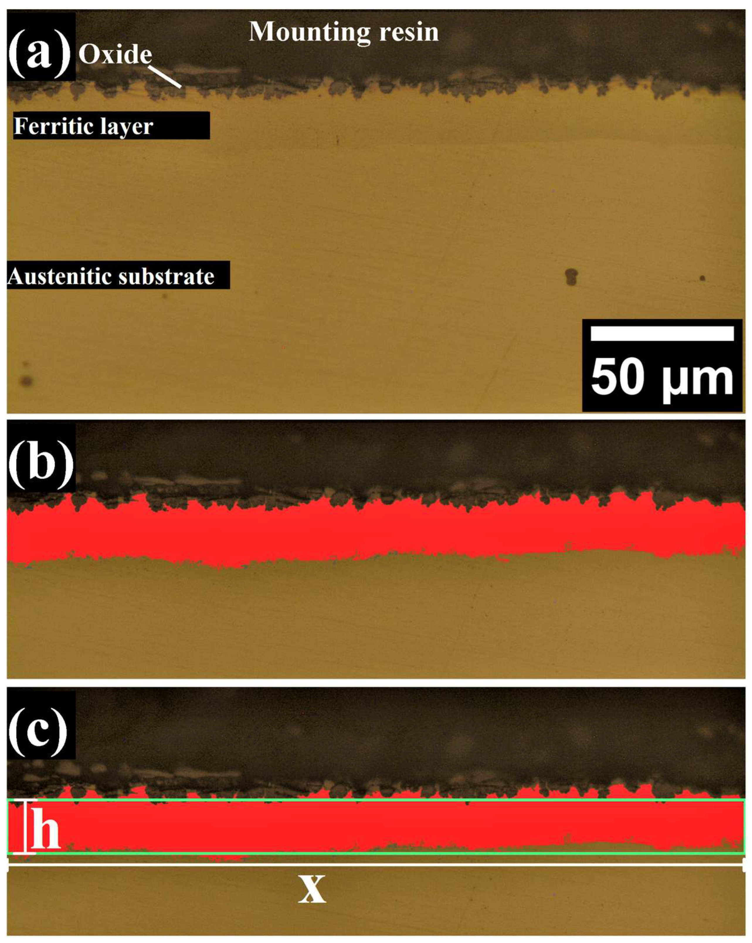 Metals 13 01928 g001
